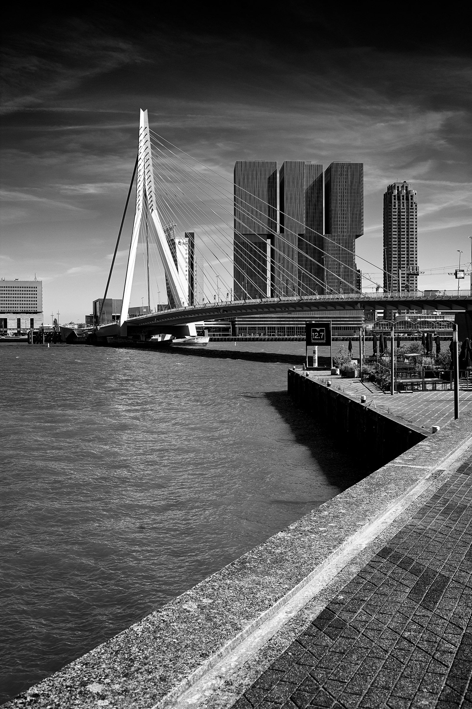 Netherlands - Rotterdam - Erasmus Bridge