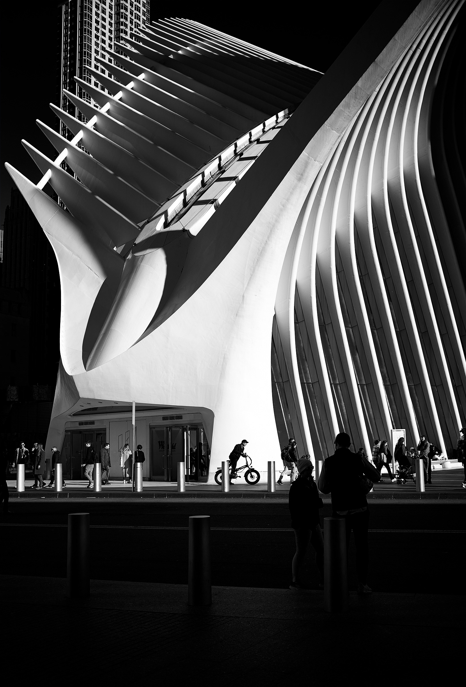 World Trade Center Transportation Hub - NYC (NY)