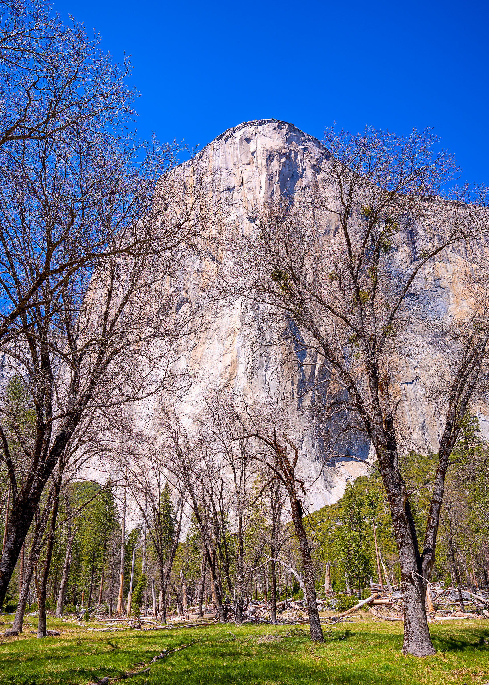 El Capitan - Yosemite NP (CA)