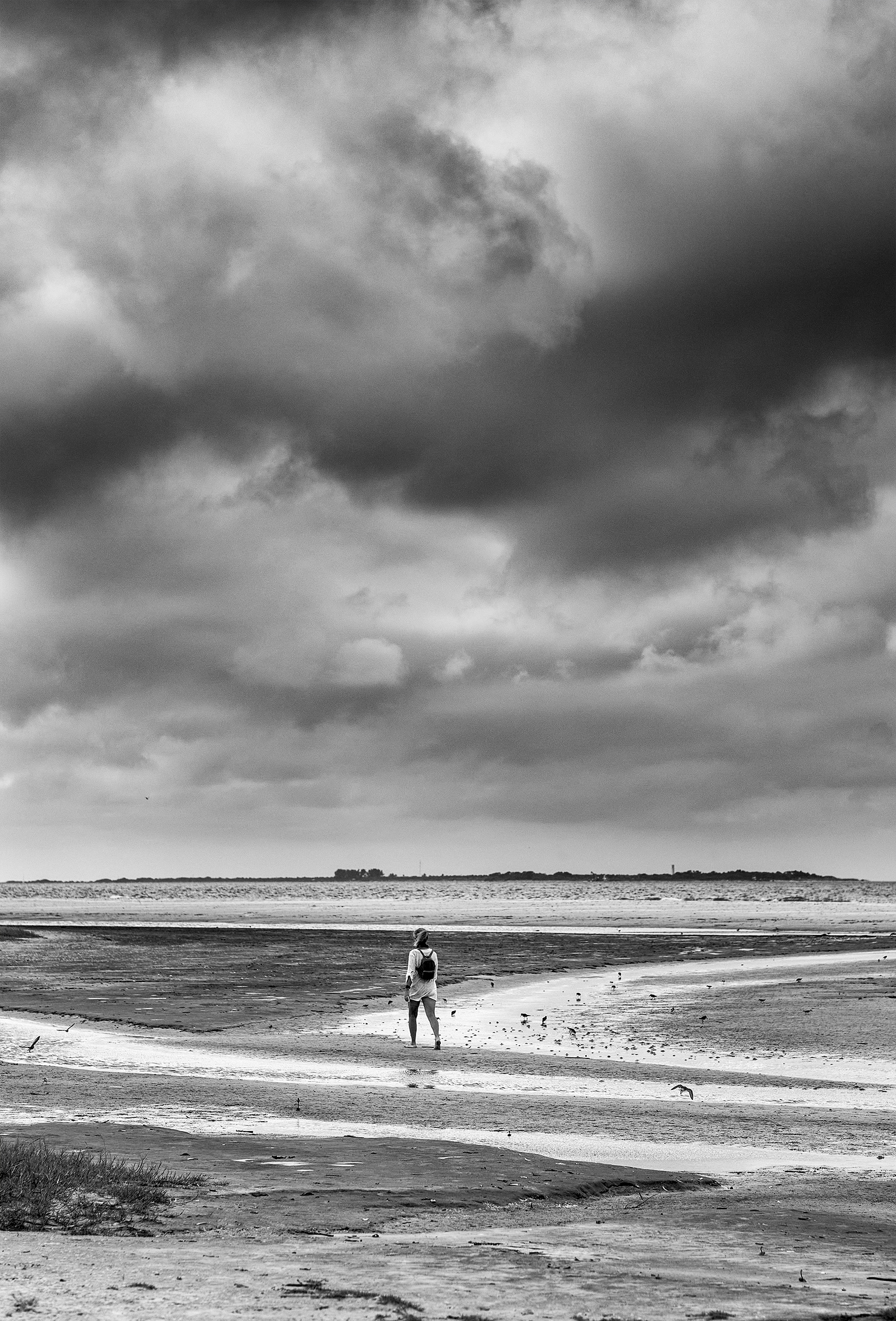 Fort de Soto Park (FL)