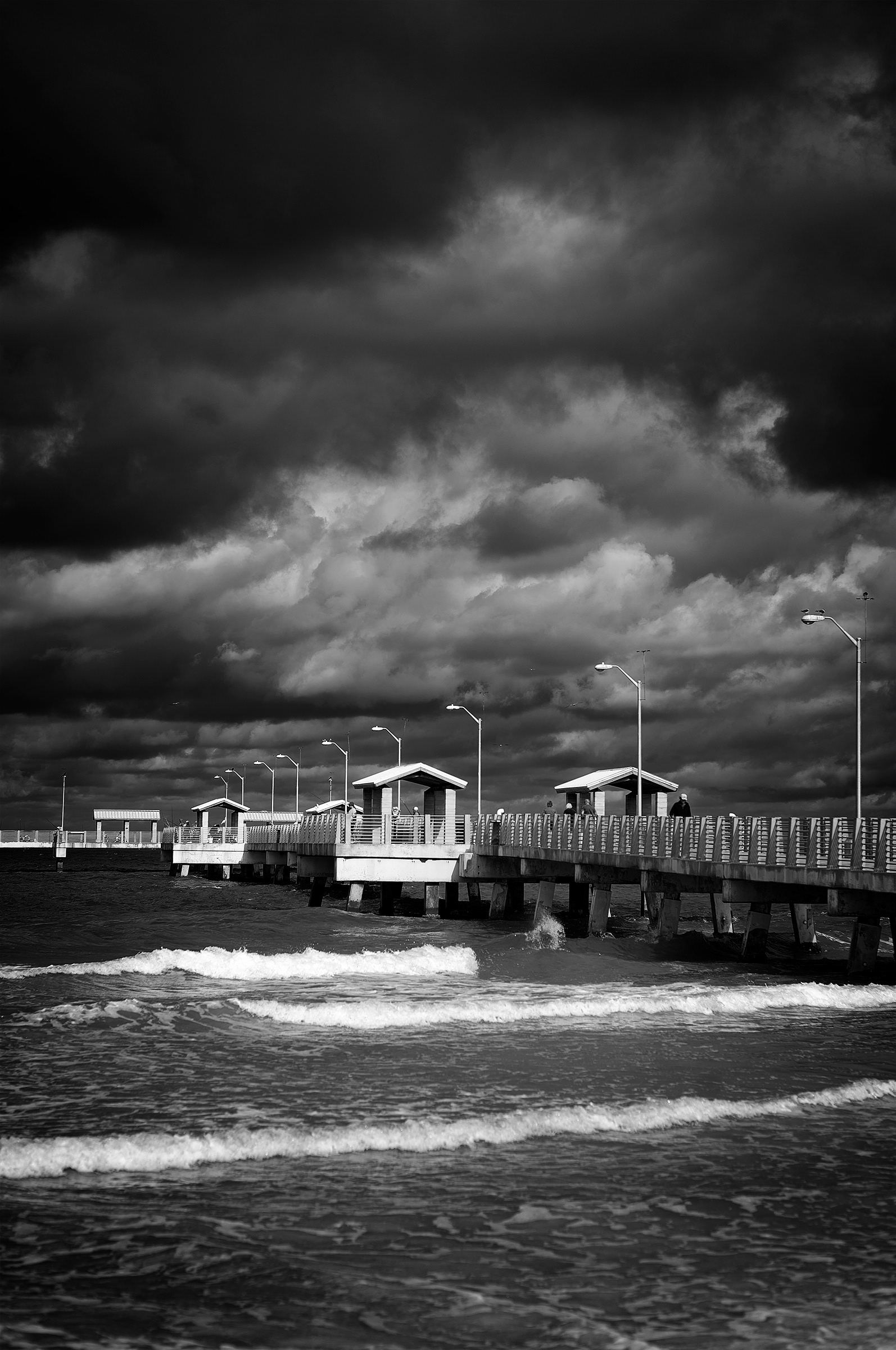 Fort de Soto Park (FL)