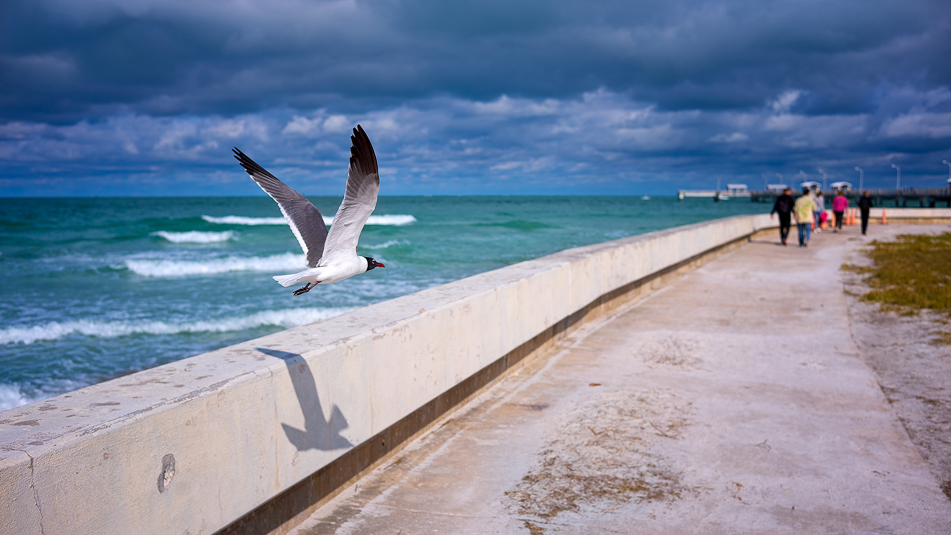 Fort de Soto Park (FL)