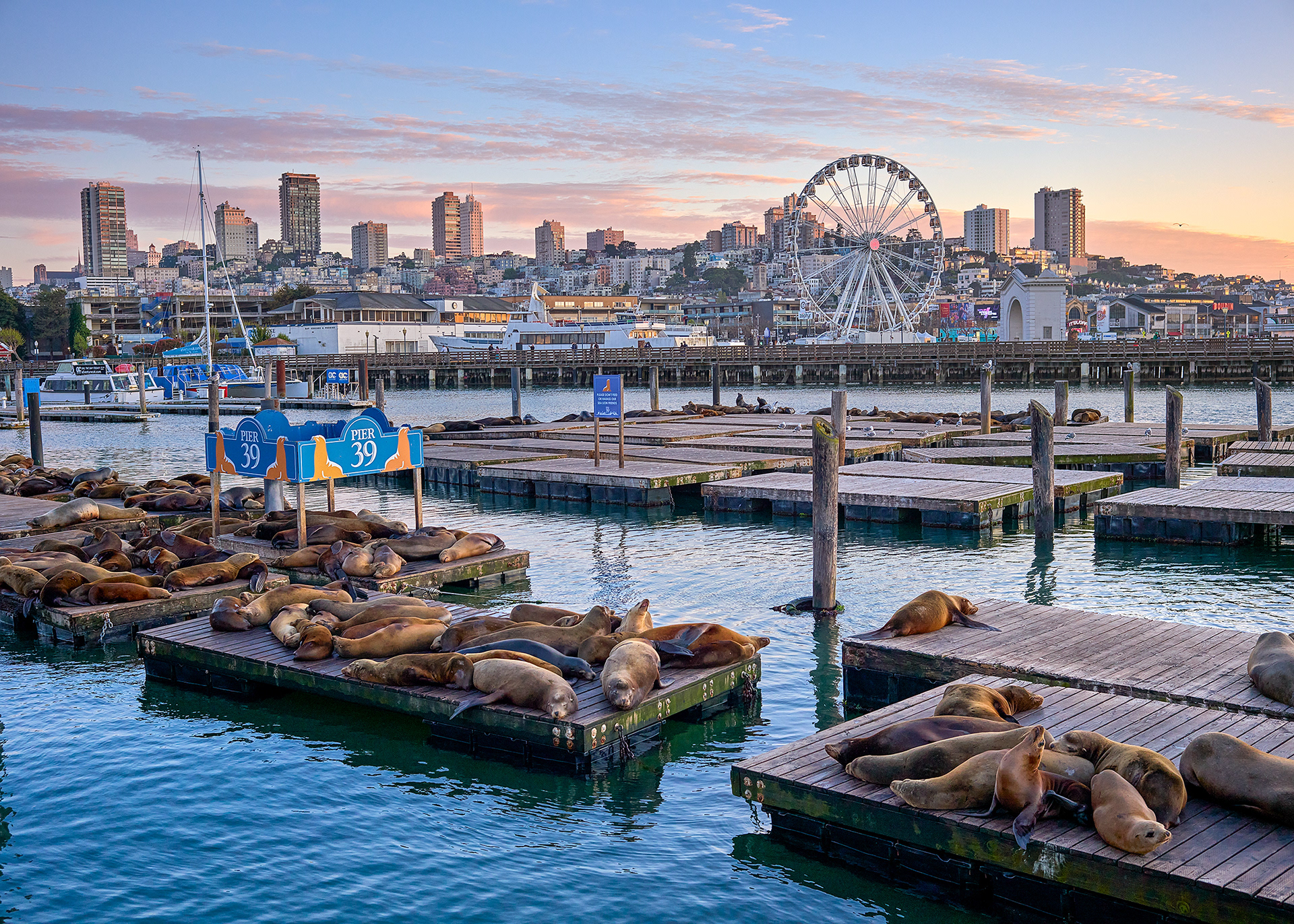 Pier 39 - San Francisco (CA)