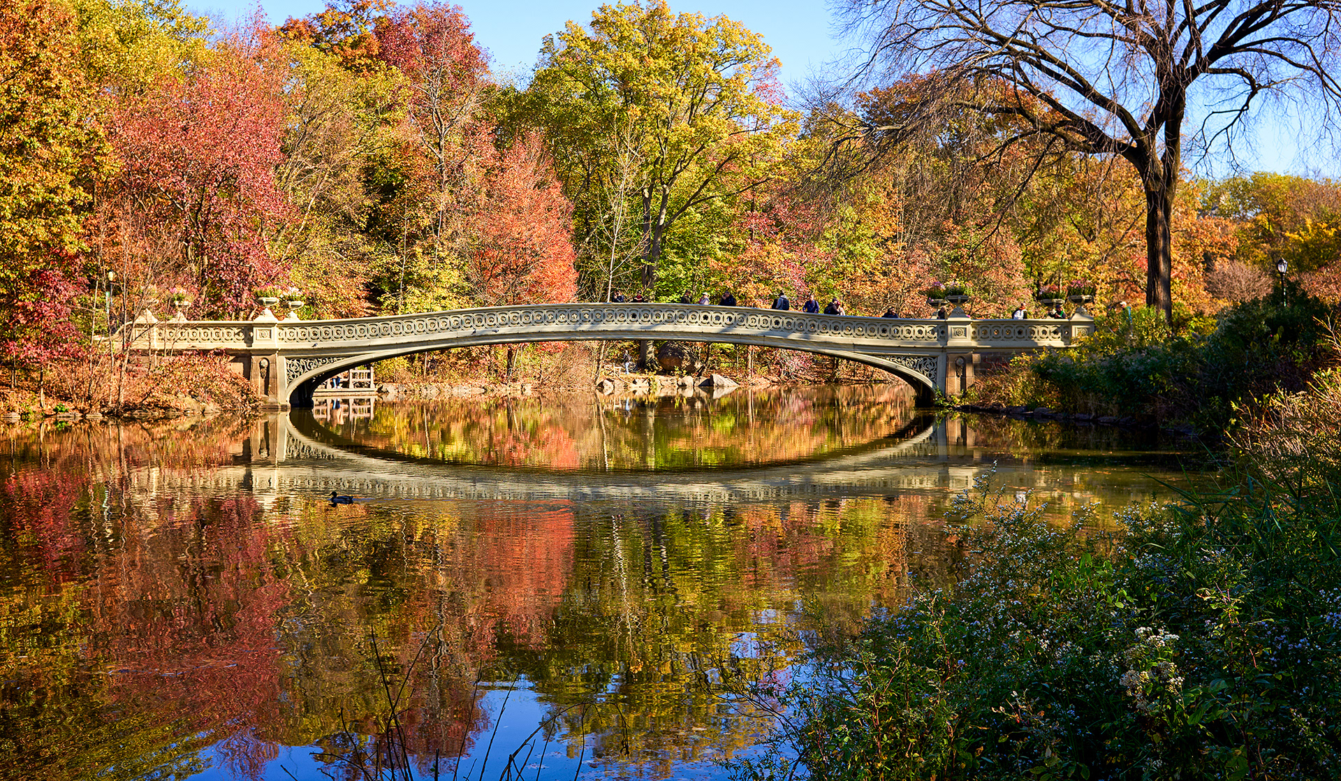 Bow Bridge - Central Park - NYC (NY)