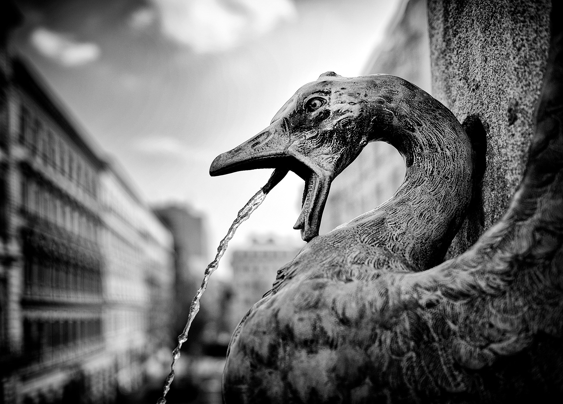 Austria - Vienna - Goose Girl Fountain