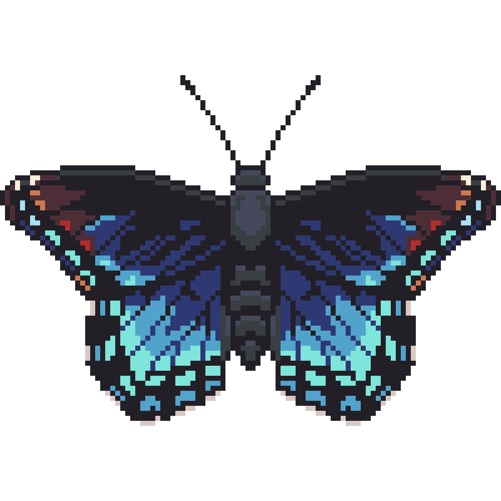 Red-Spotted Purple