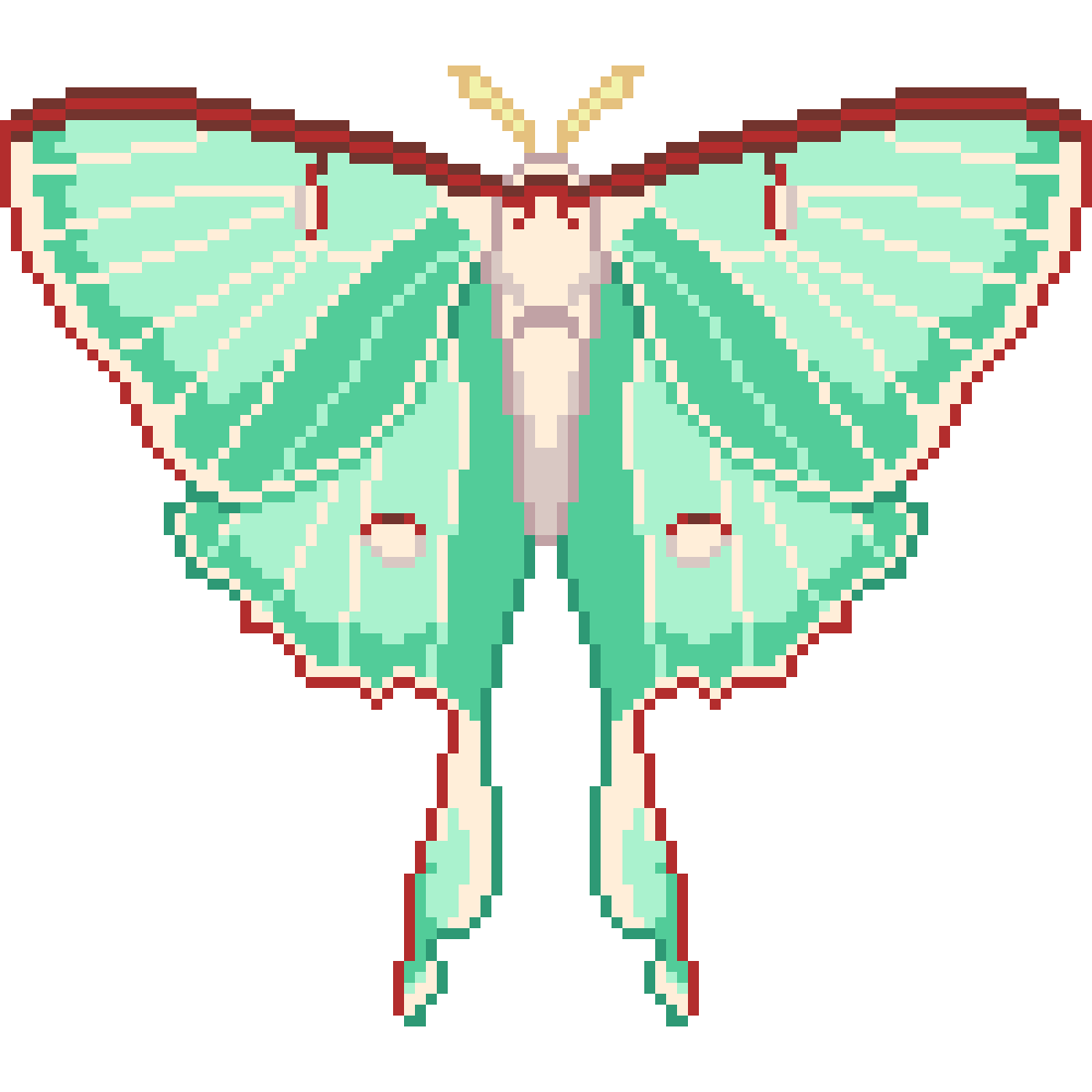 Luna Moth