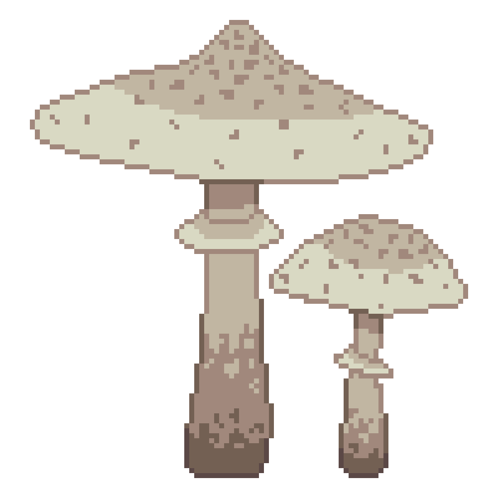 Parasol