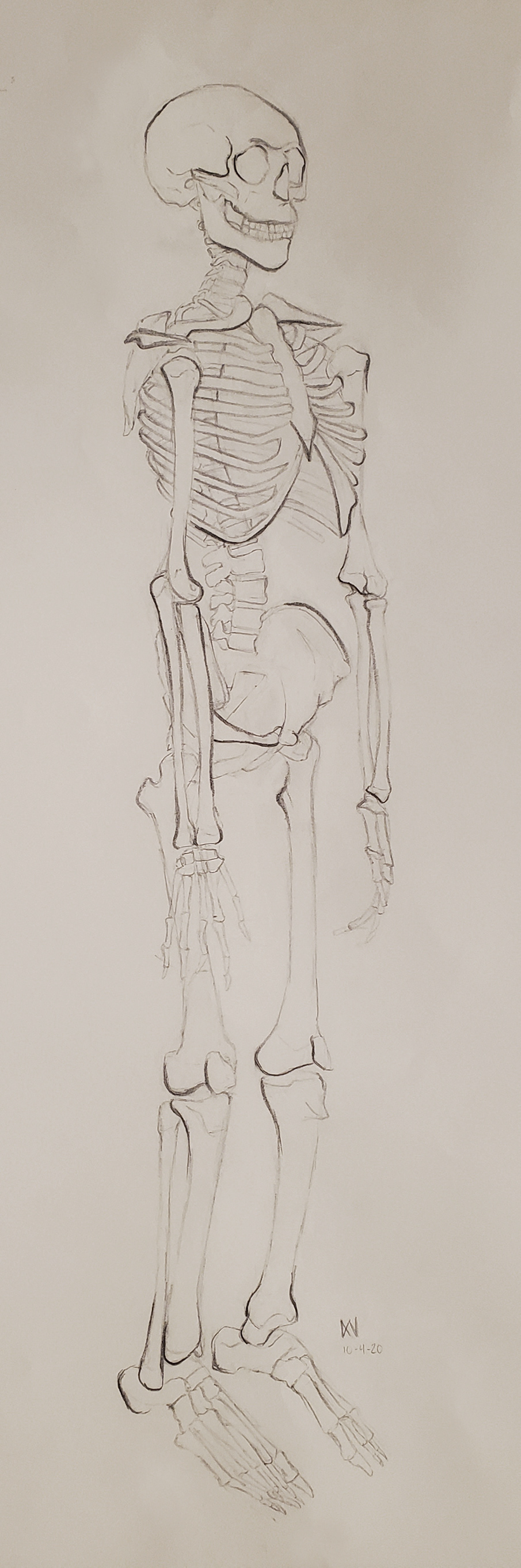 Skeleton Study | 2021