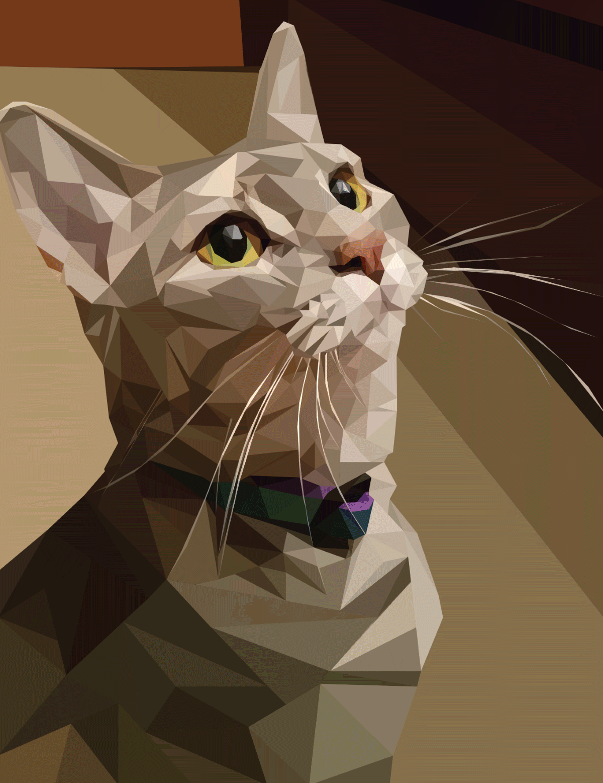 Illustrator | 2017