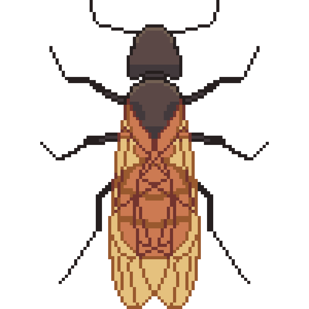 Other Bug Portraits | 2023