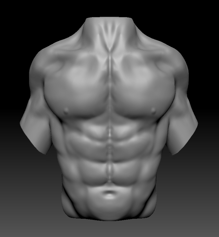 Torso Sculpt, Zbrush, 2021