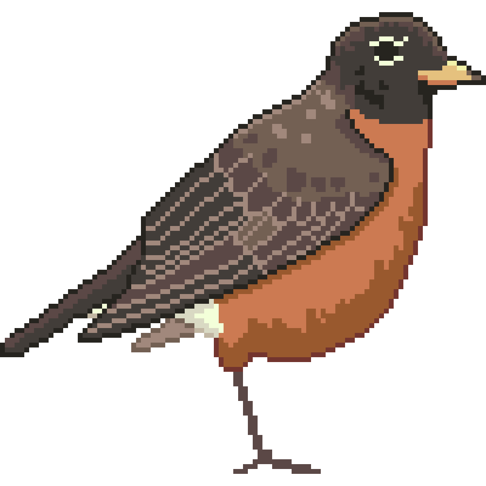 Bird Portraits | 2023