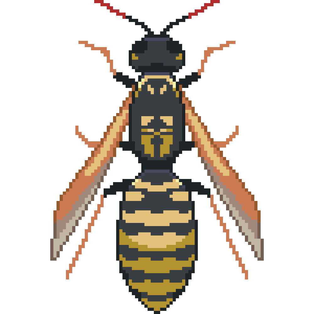 Paper Wasp