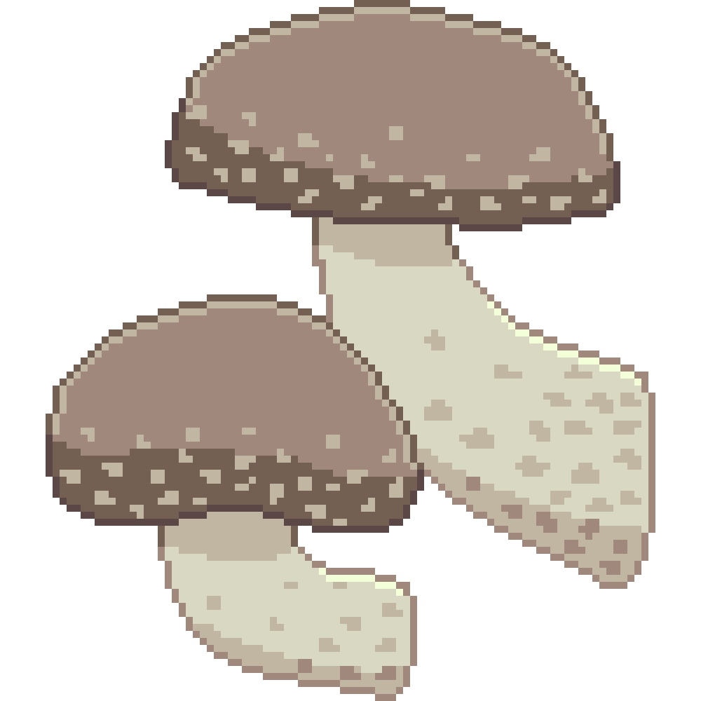 Shiitake