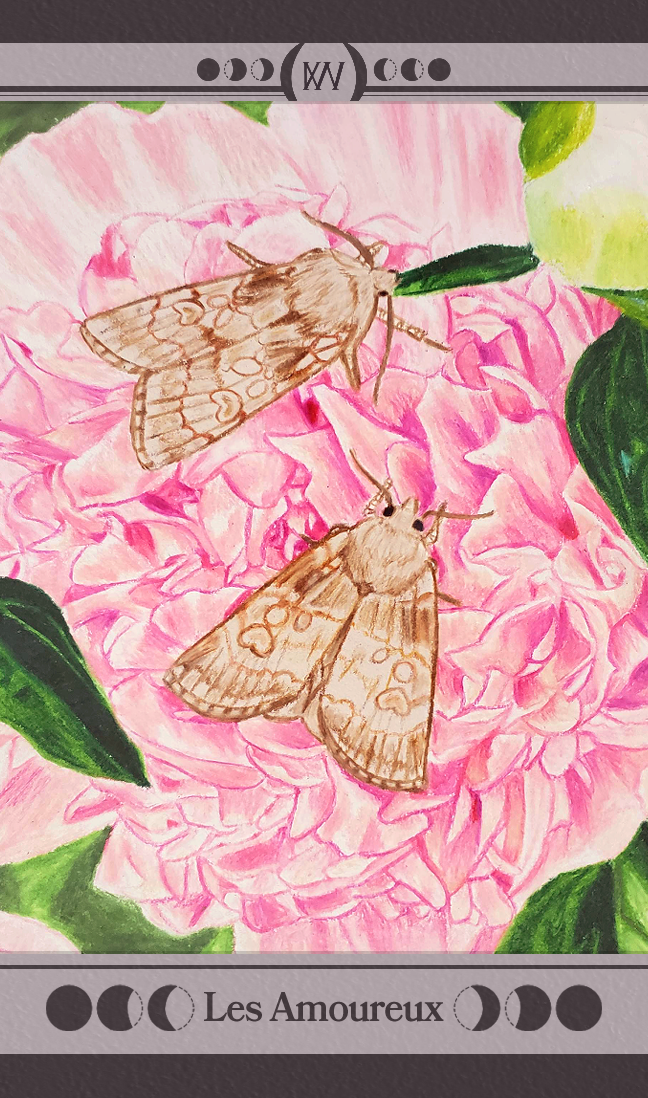 Colored Pencil  |  2025