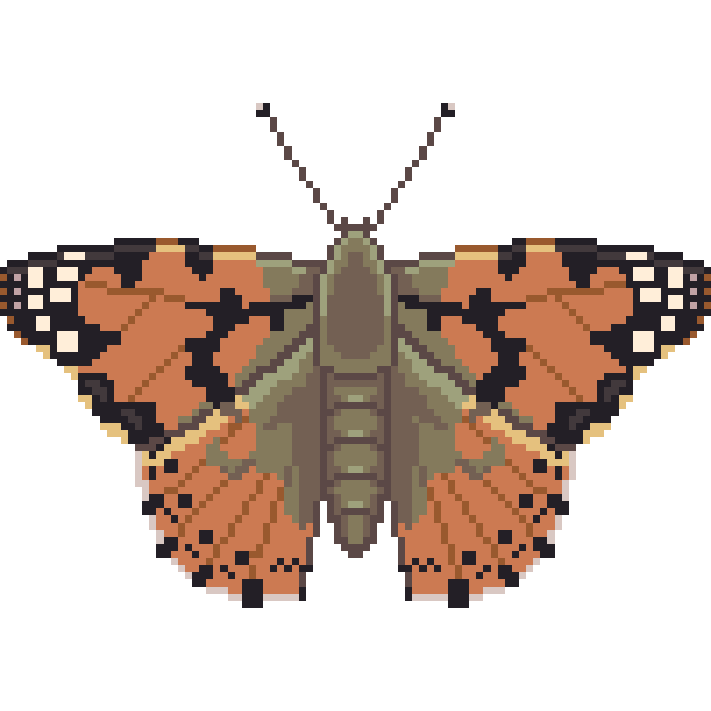 Painted Lady