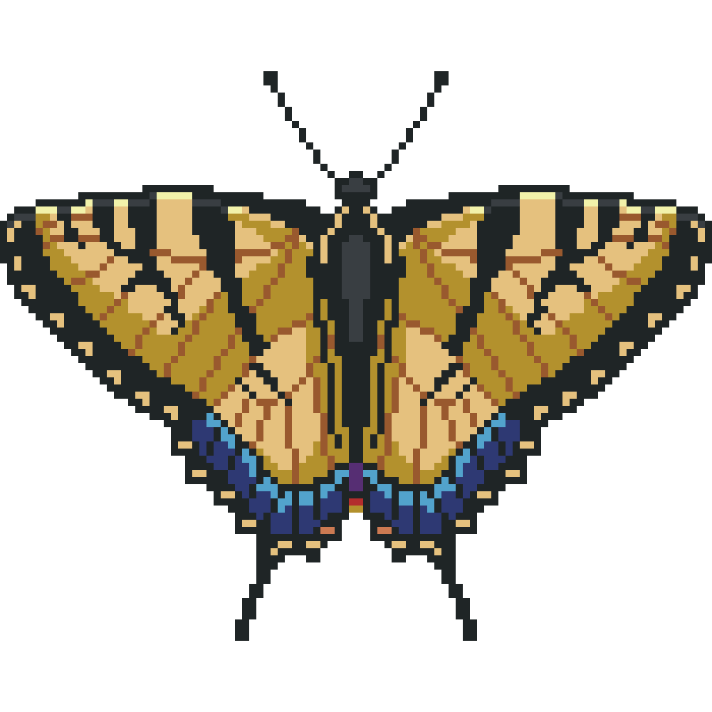 Eastern Tiger Swallowtail