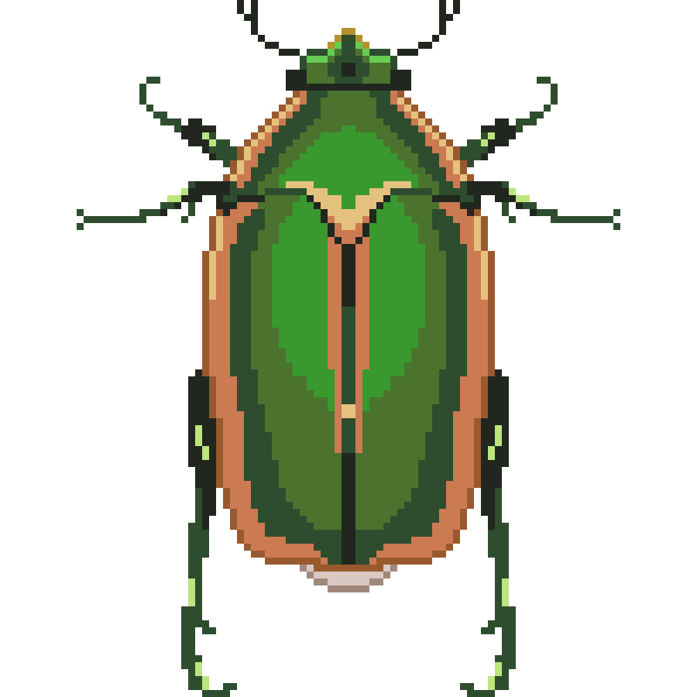 Fig Beetle