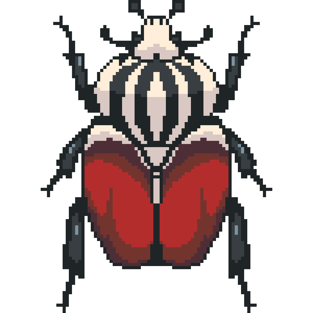 Goliath Beetle