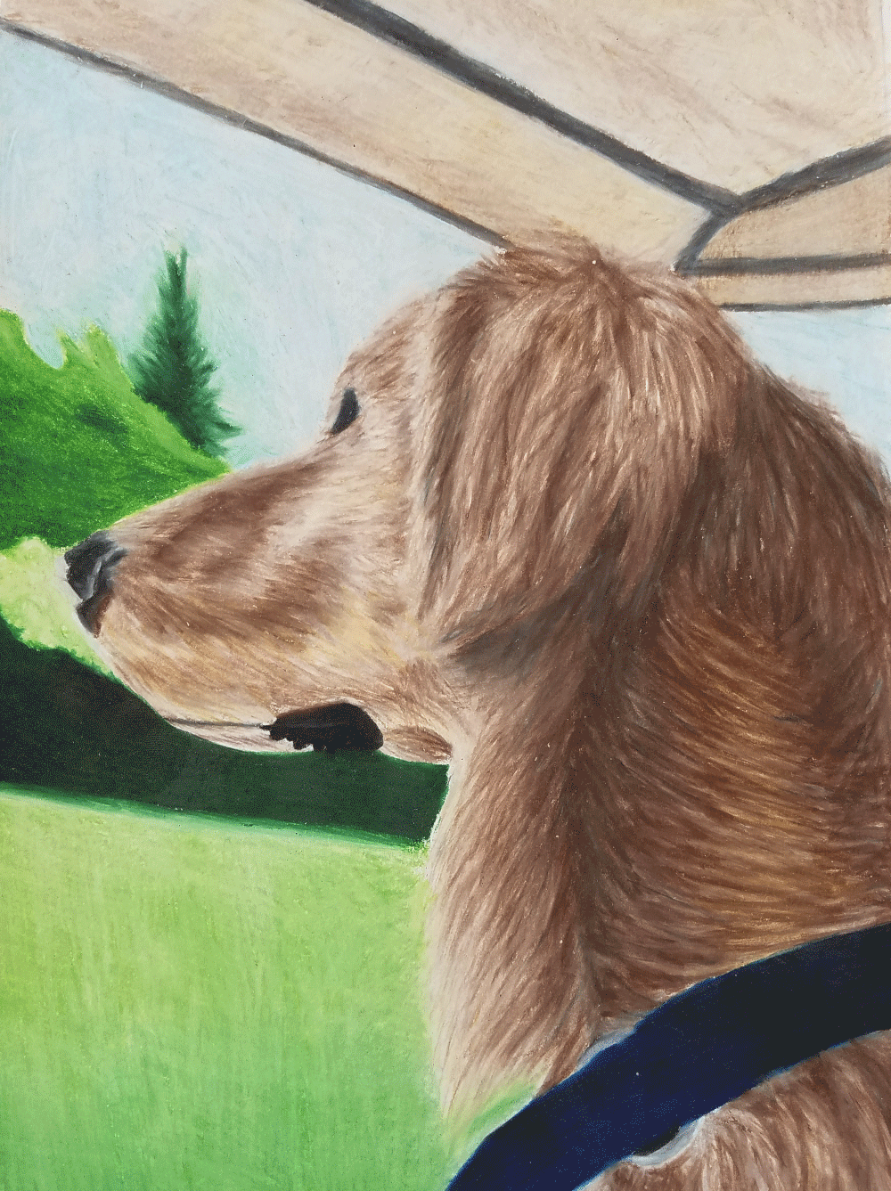 Colored Pencil | 2018