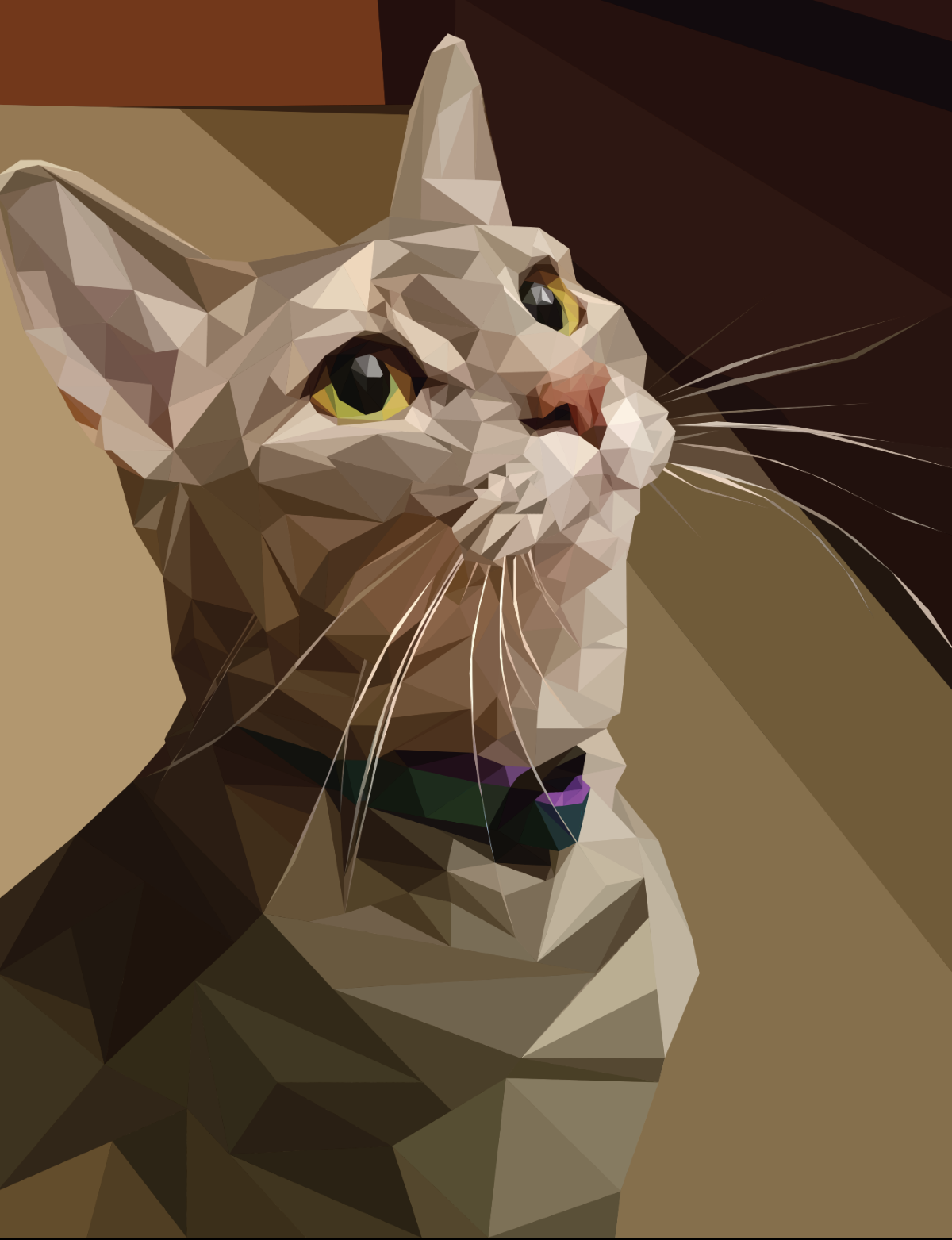 Illustrator | 2017
