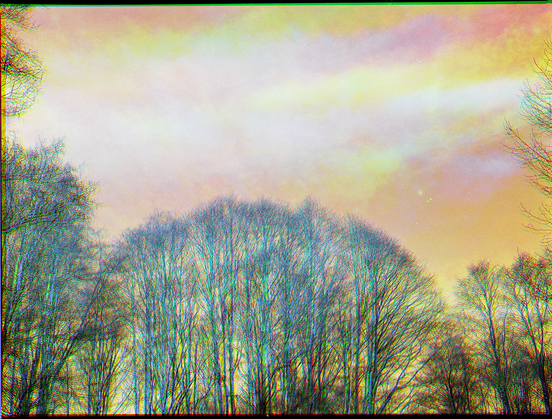 Mamiya m645 - Ilford HP5 (trochromed)