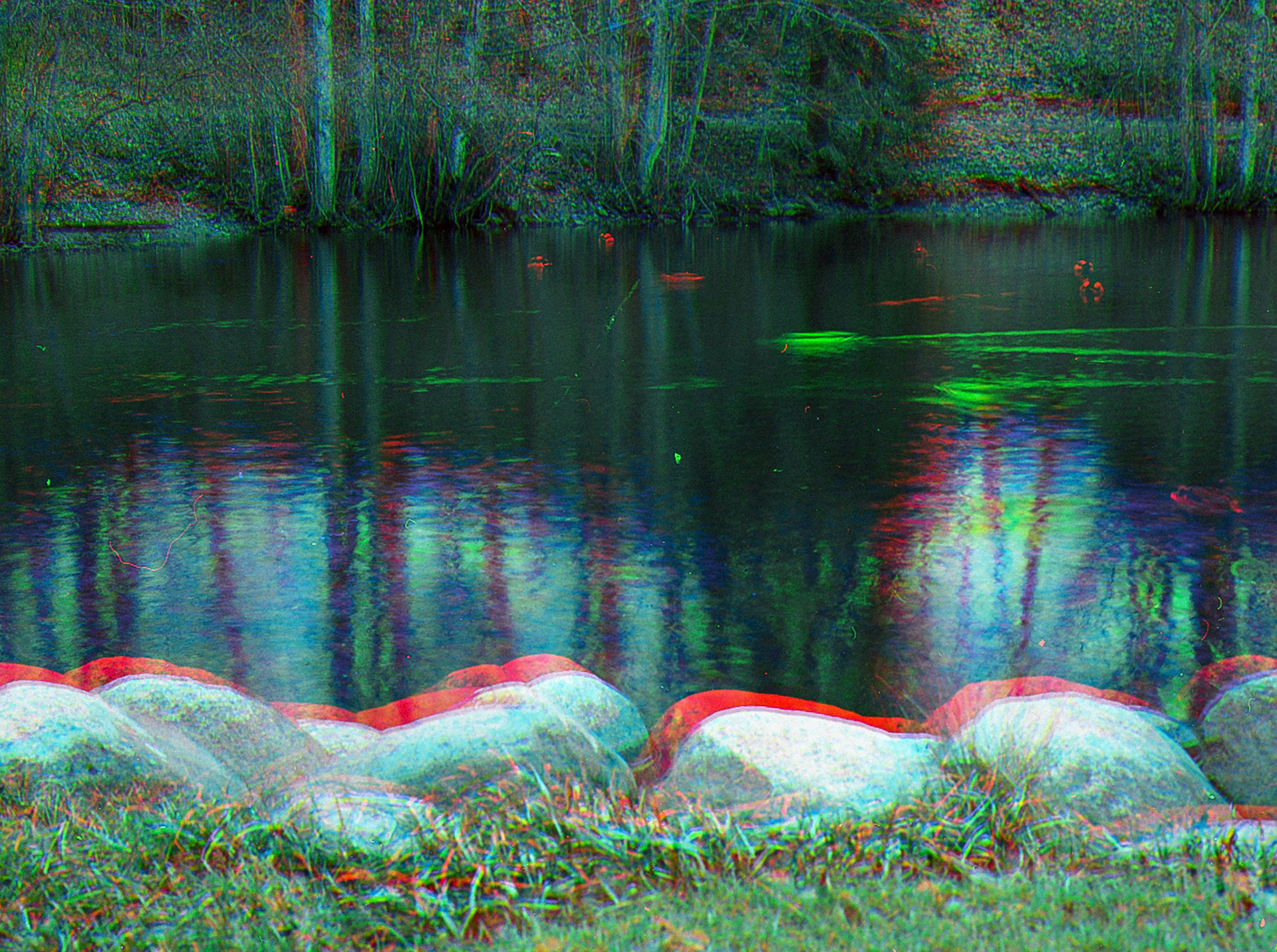 Mamiya m645 - Ilford HP5 (trochromed)