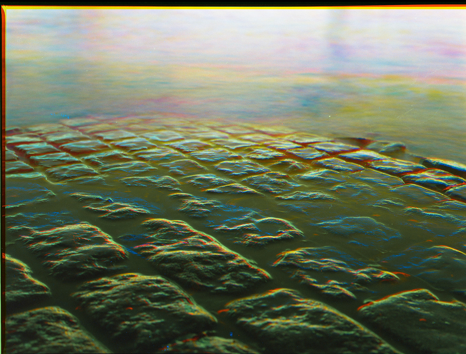 Mamiya m645 - Ilford HP5 (trochromed)