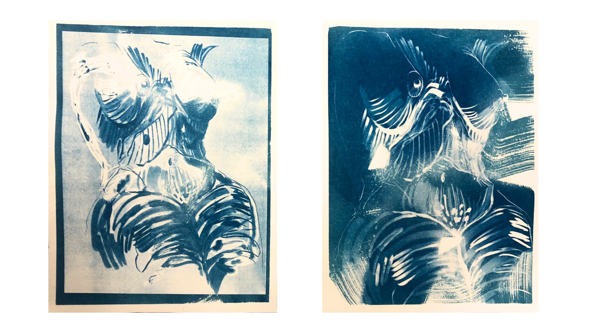 Cyanotype 2022