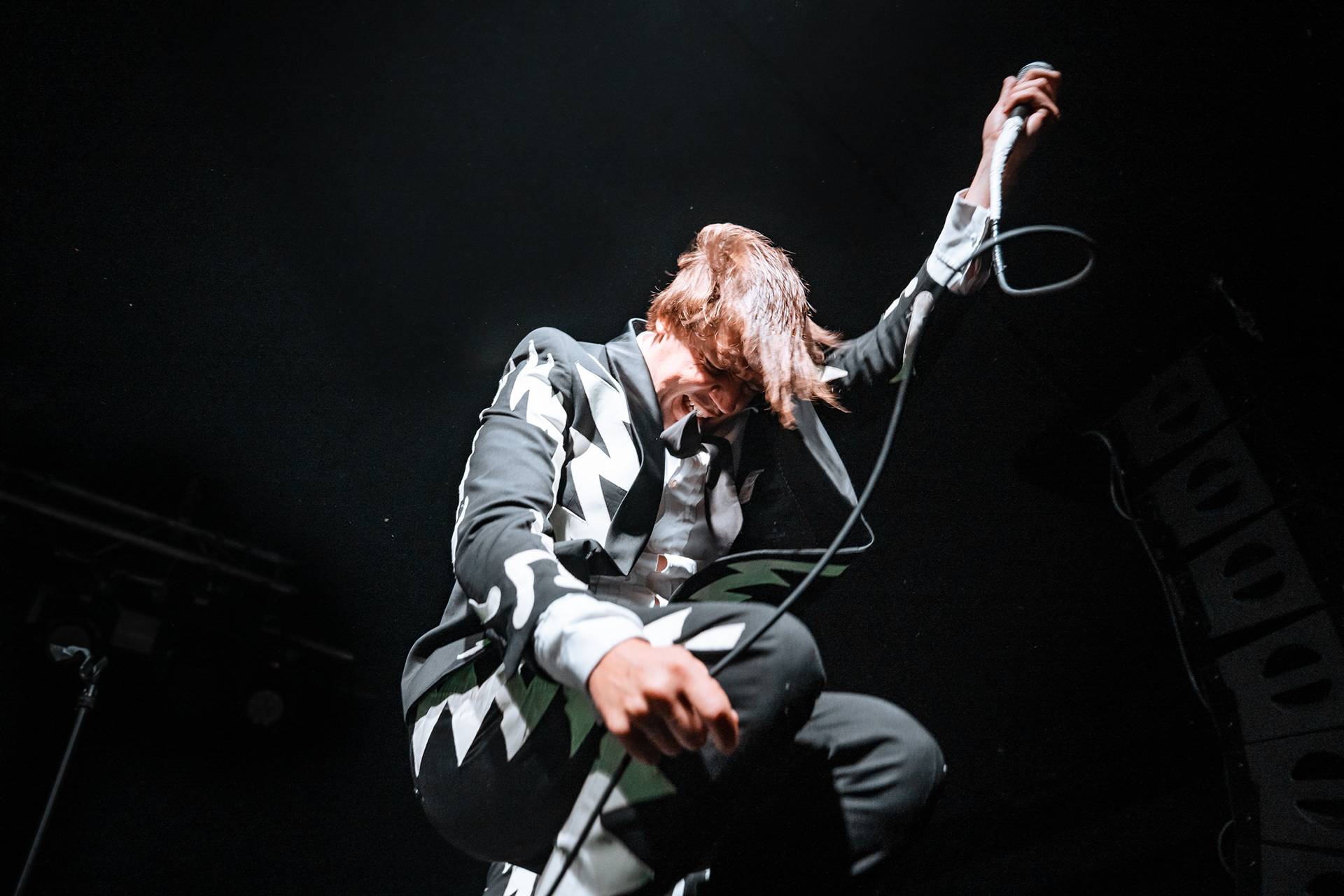 THE HIVES