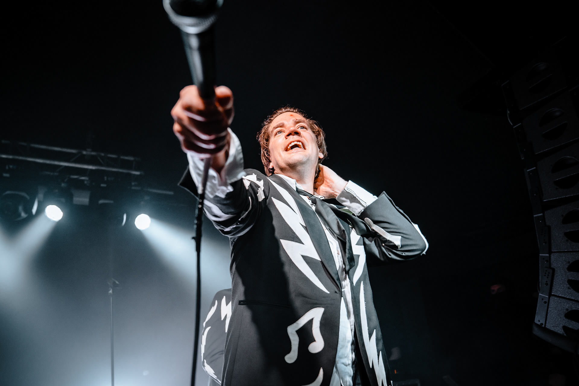 THE HIVES
