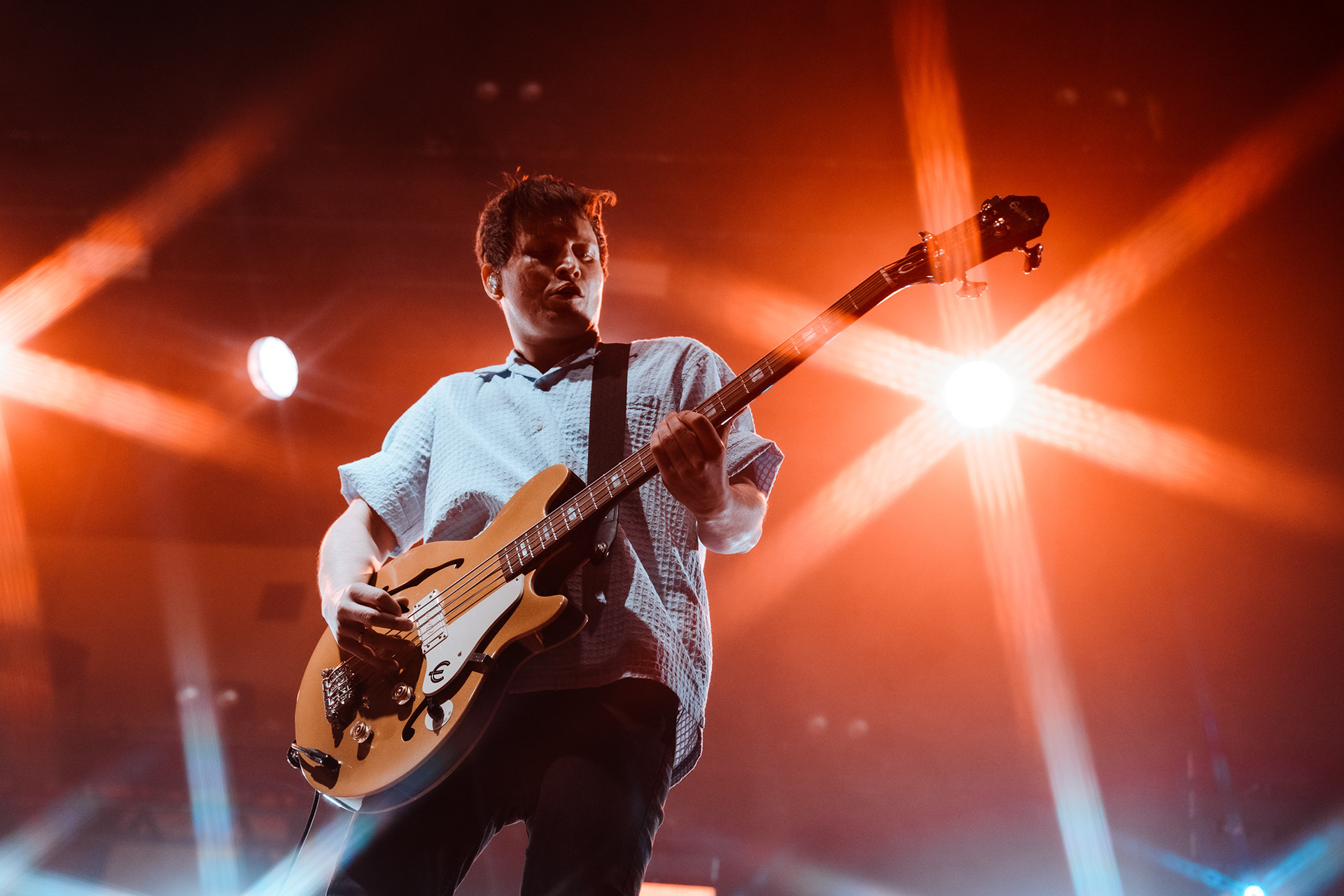 THE WOMBATS