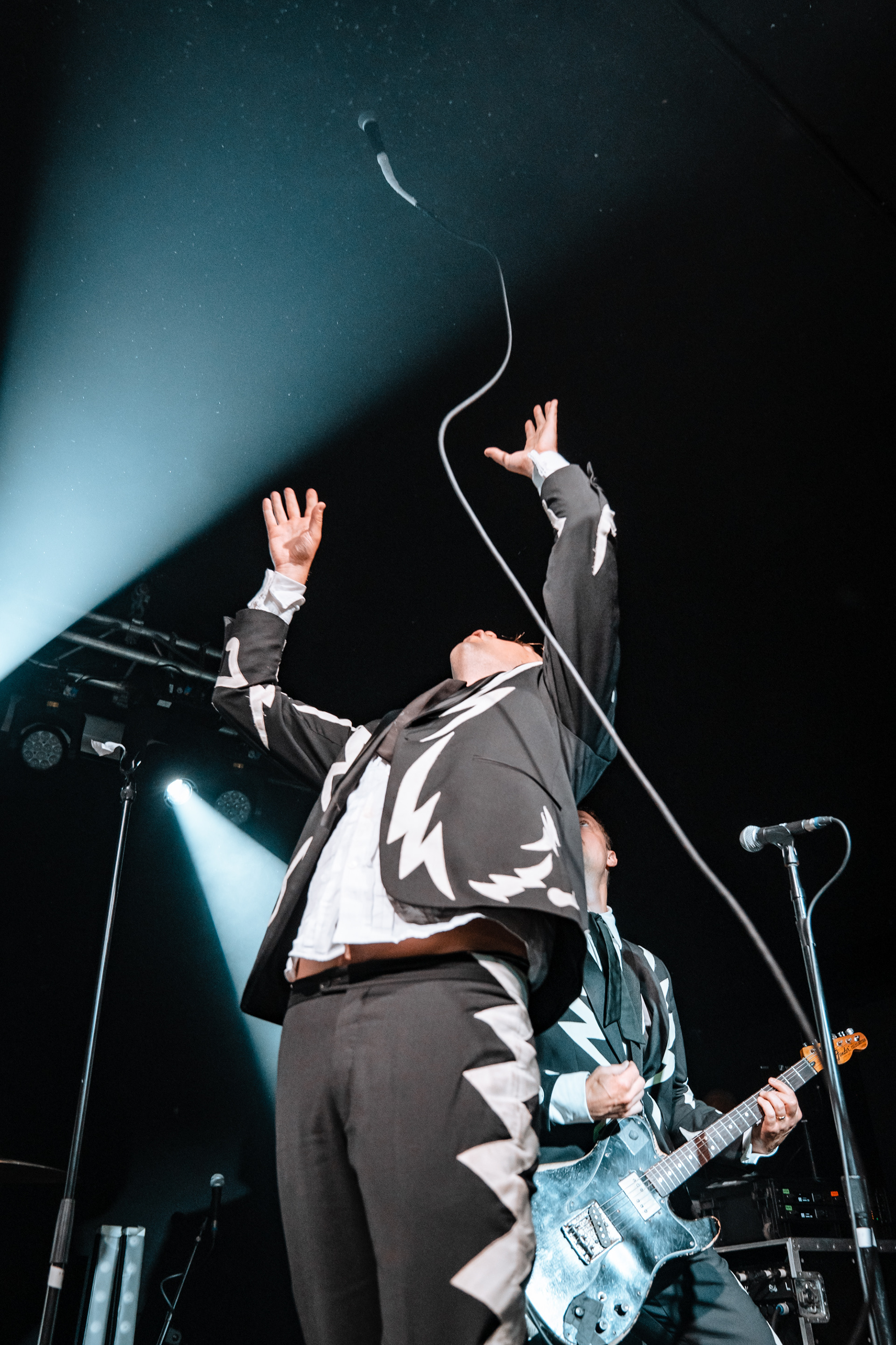THE HIVES