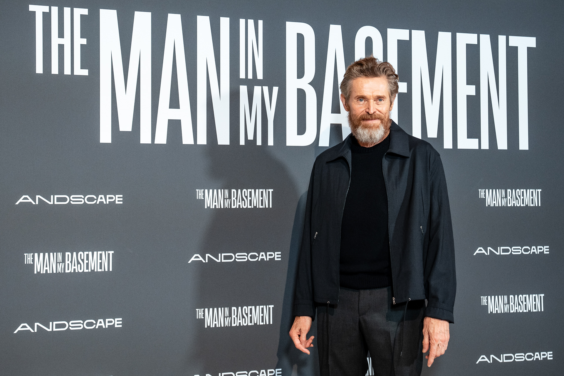 THE MAN IN MY BASEMENT