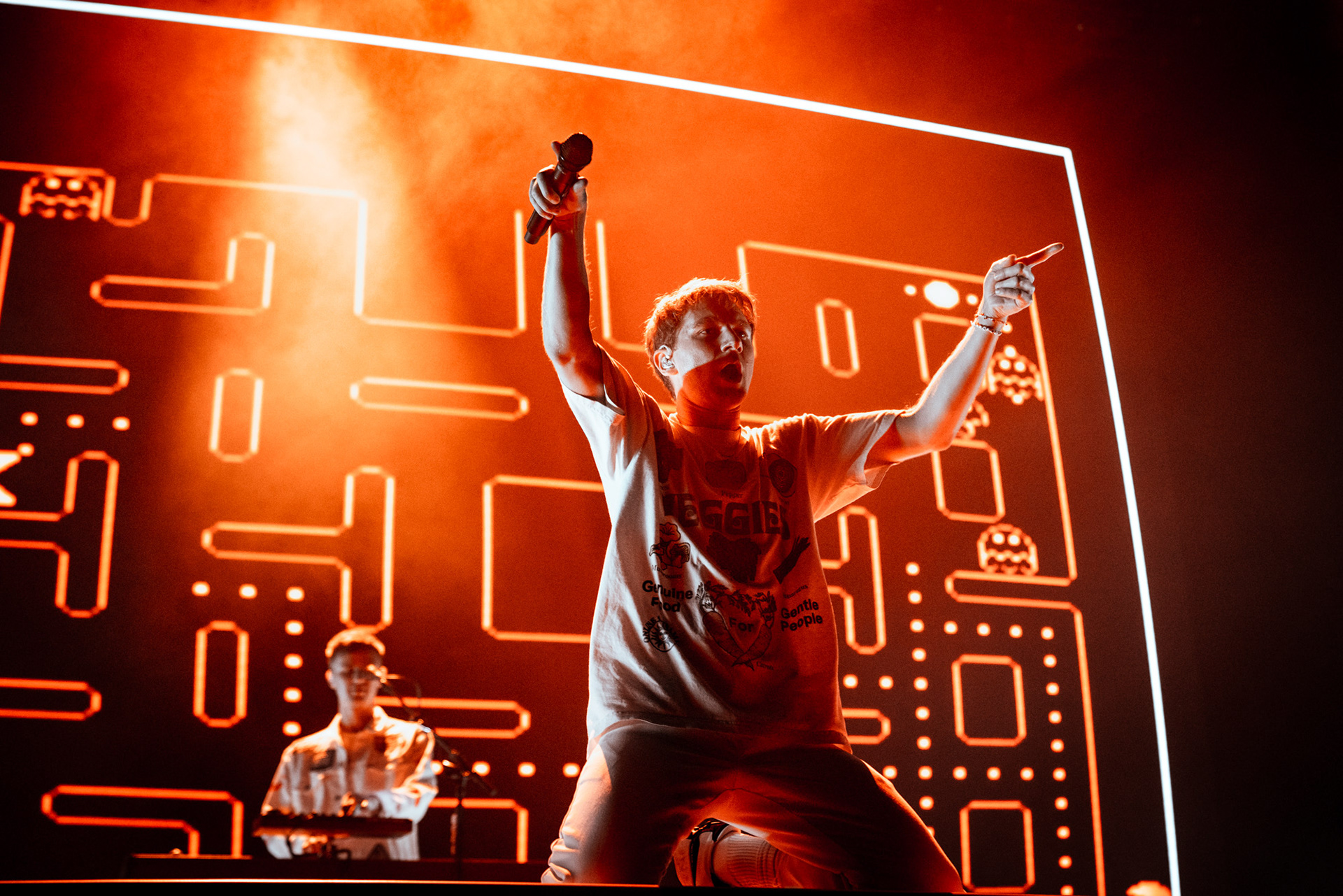 GLASS ANIMALS