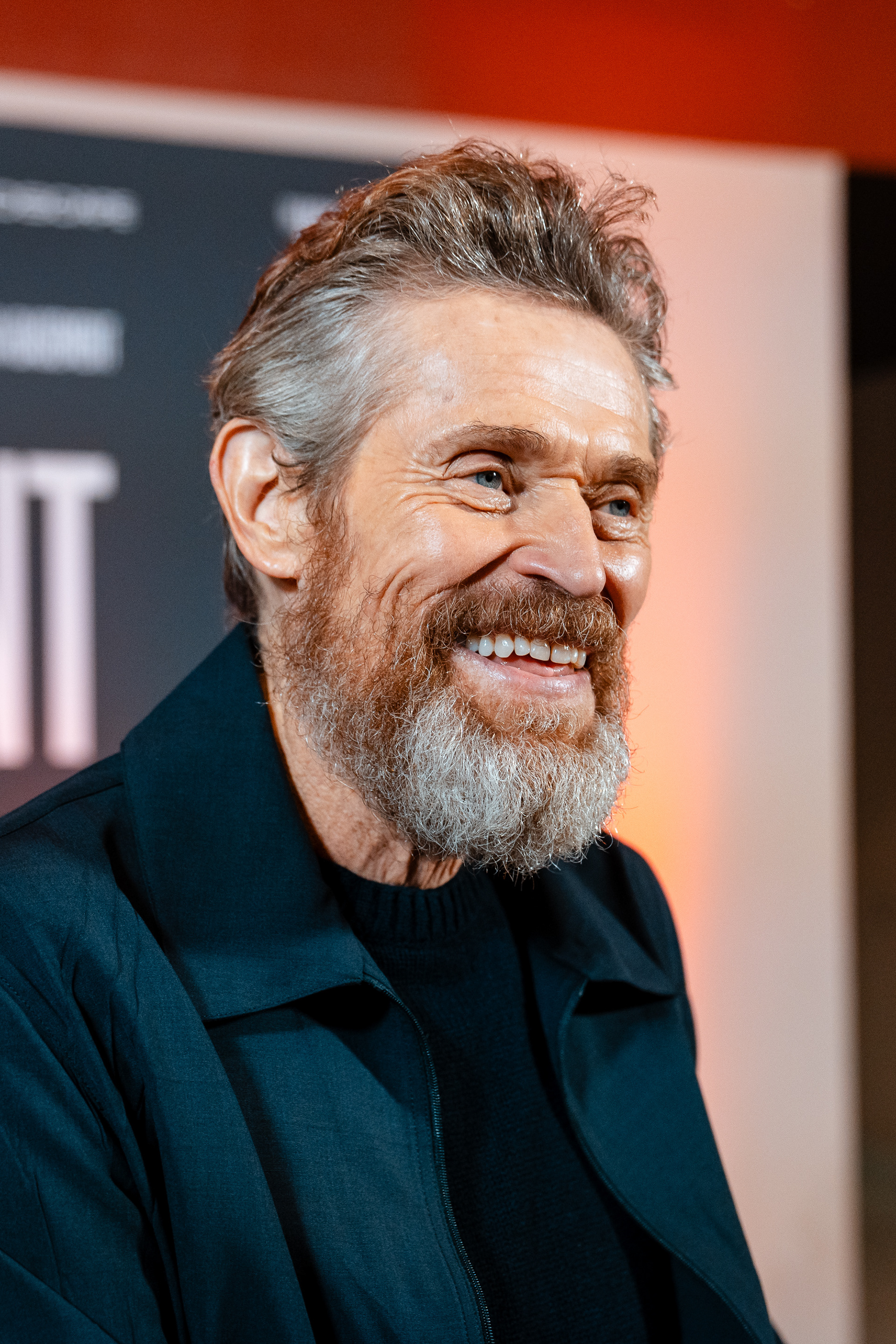 THE MAN IN MY BASEMENT