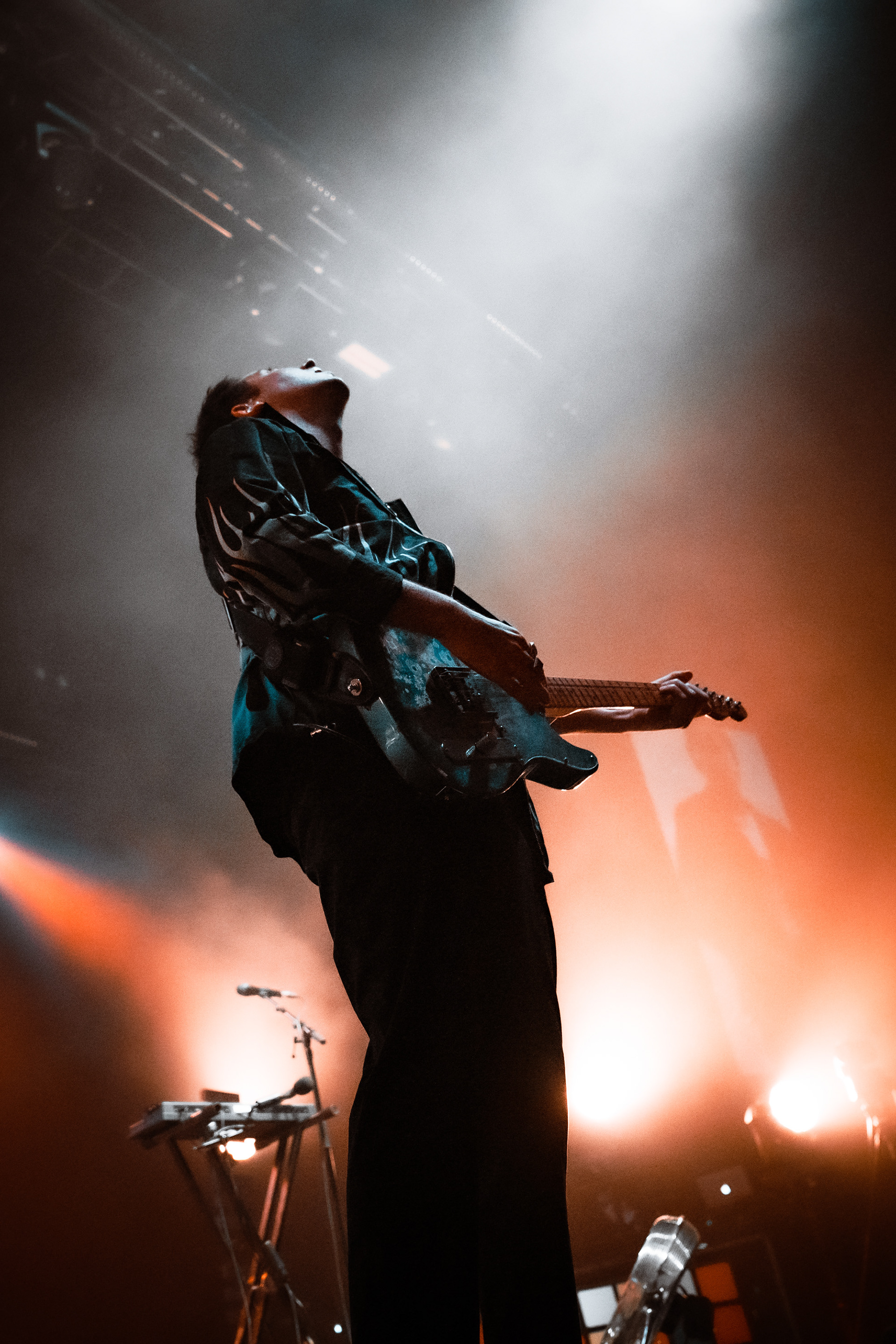 THE WOMBATS