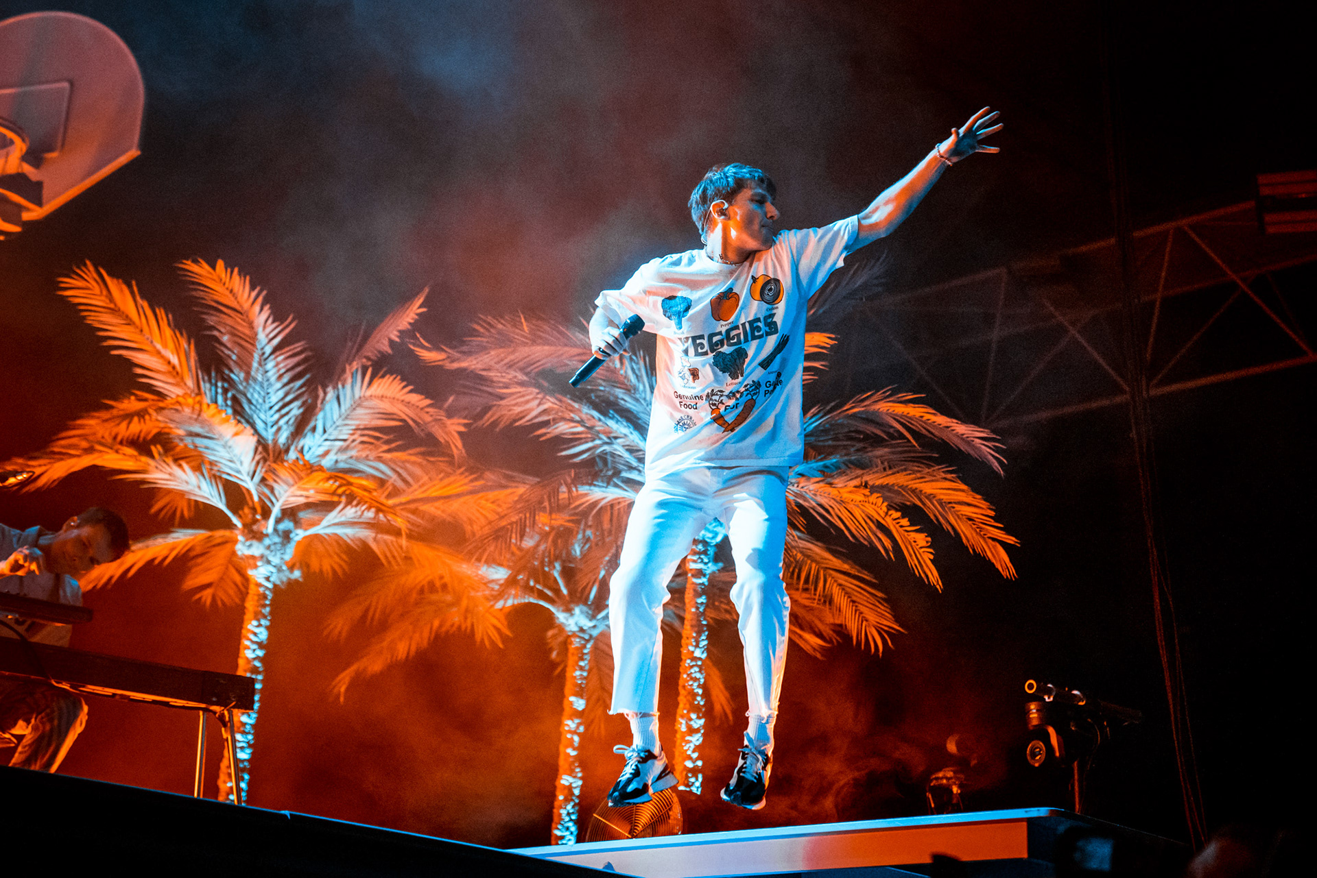 GLASS ANIMALS
