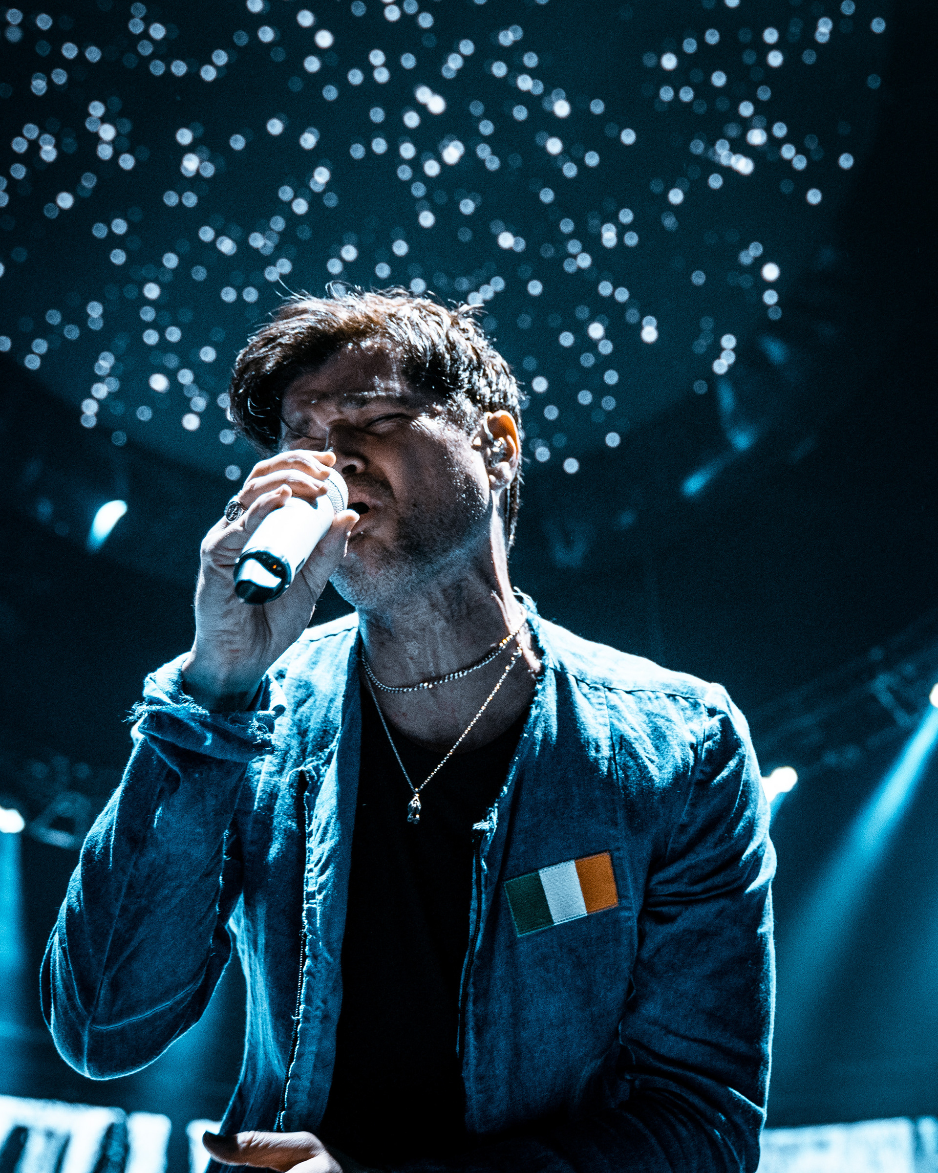 THE SCRIPT