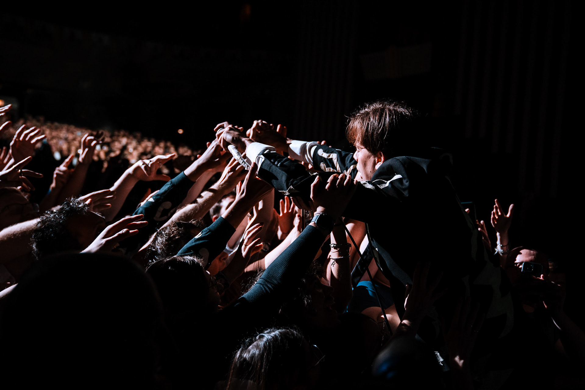 THE HIVES