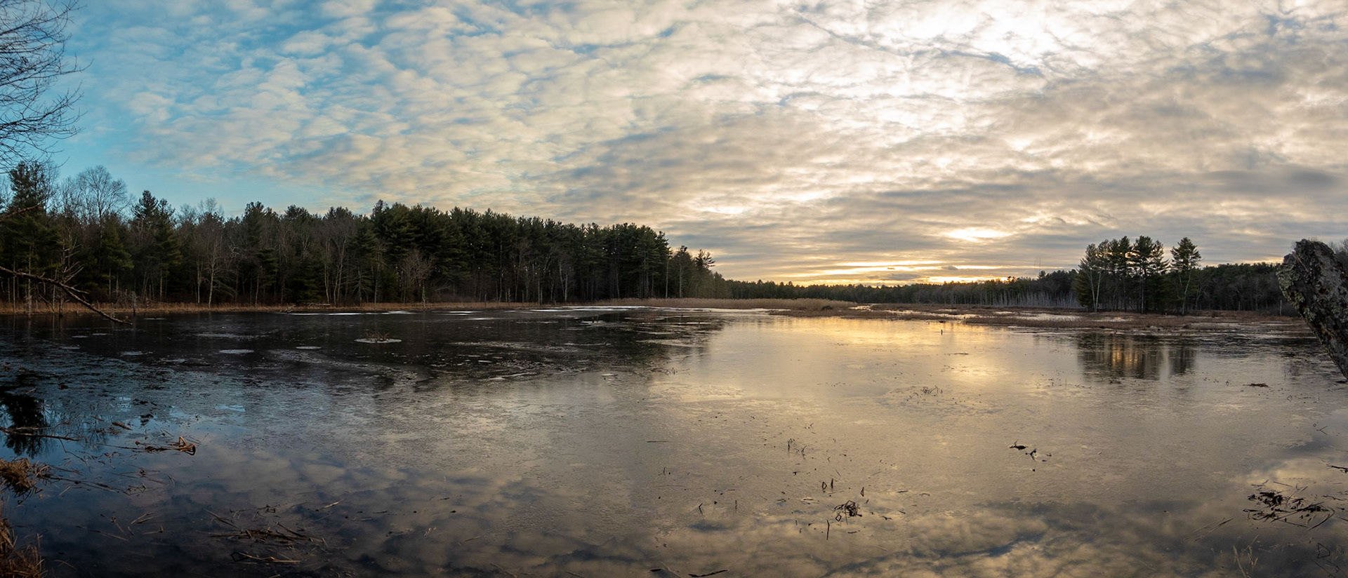 Puffer Panorama