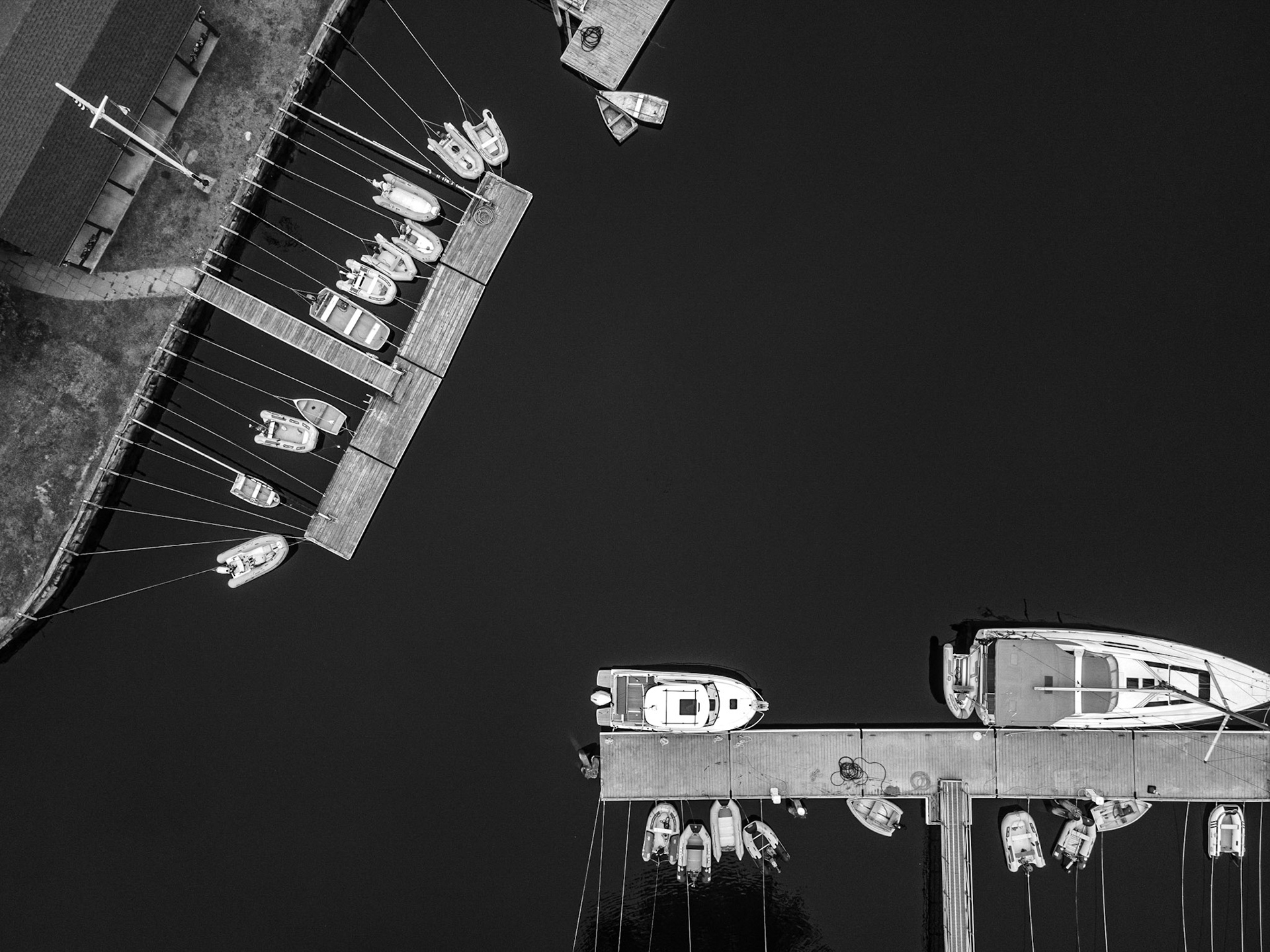 Harbor Lines
