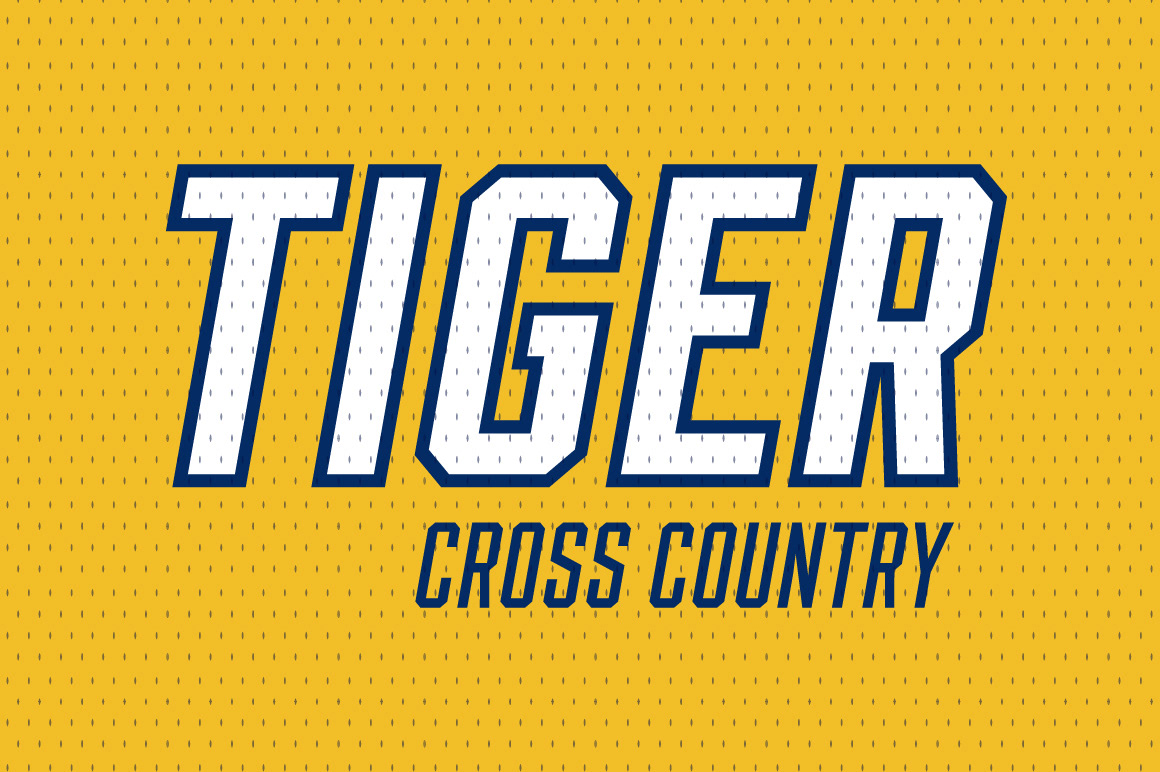 LHF Supply Co — Available at letterheadfonts.com