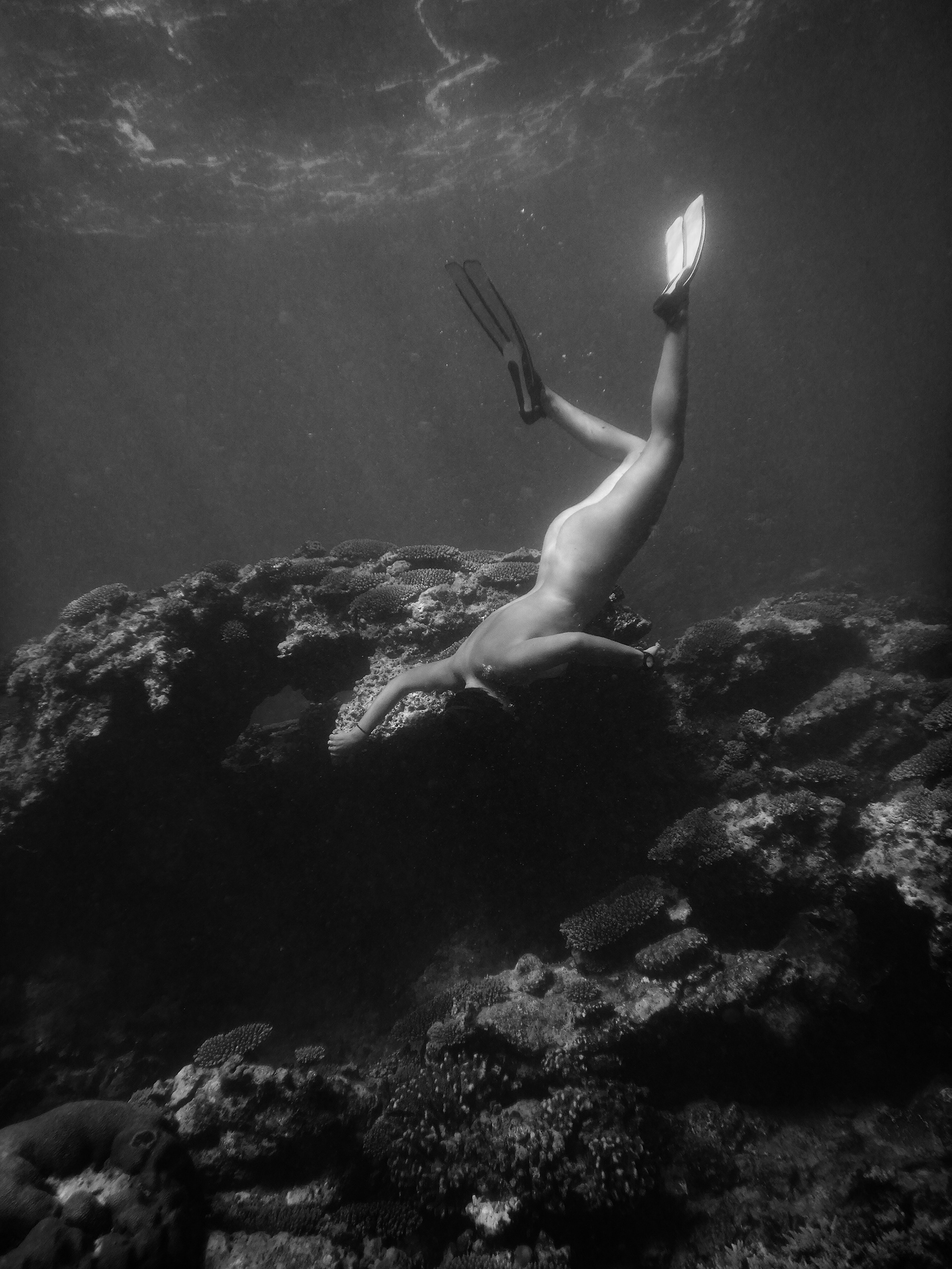 Ningaloo I