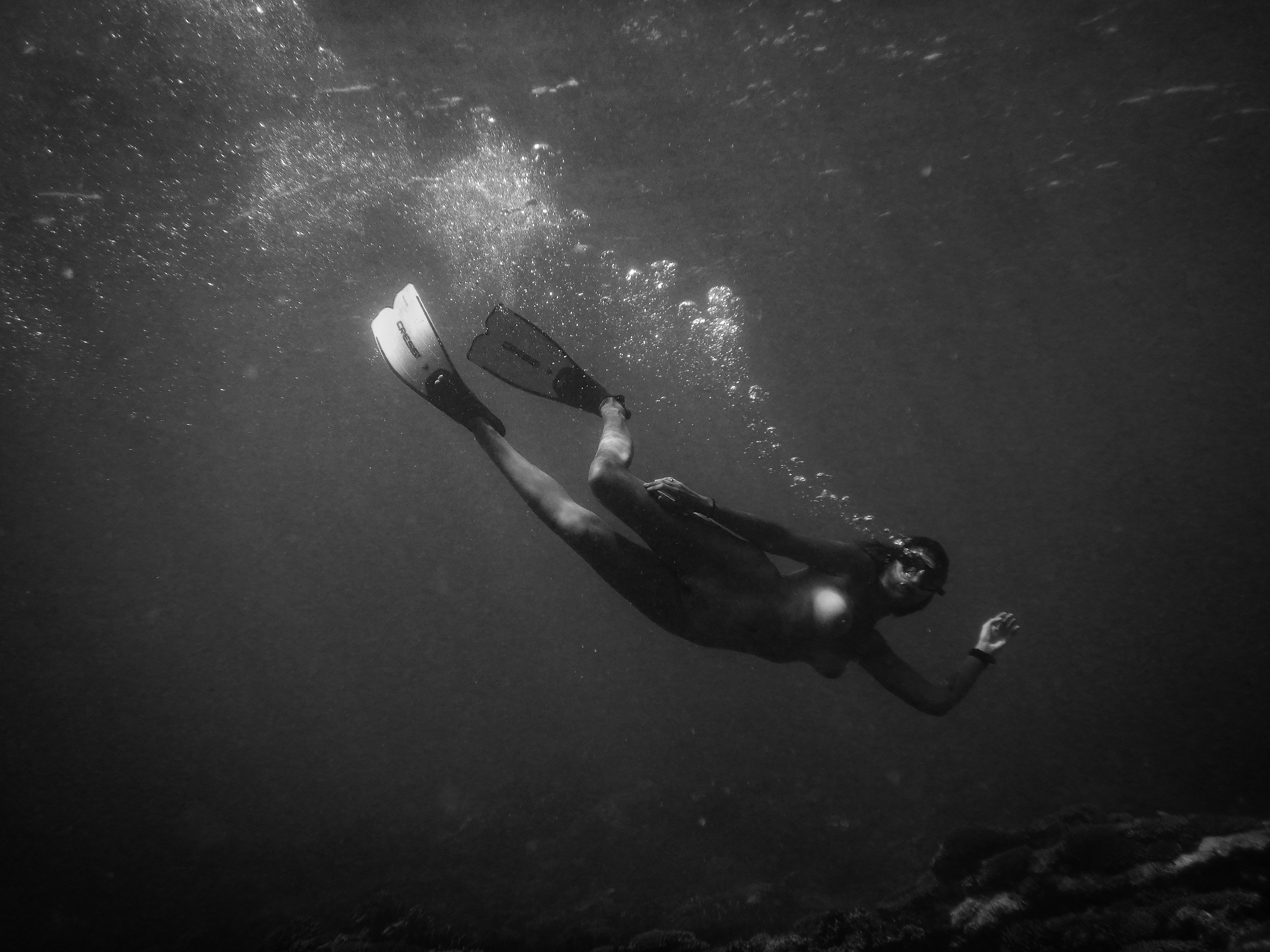 Ningaloo II
