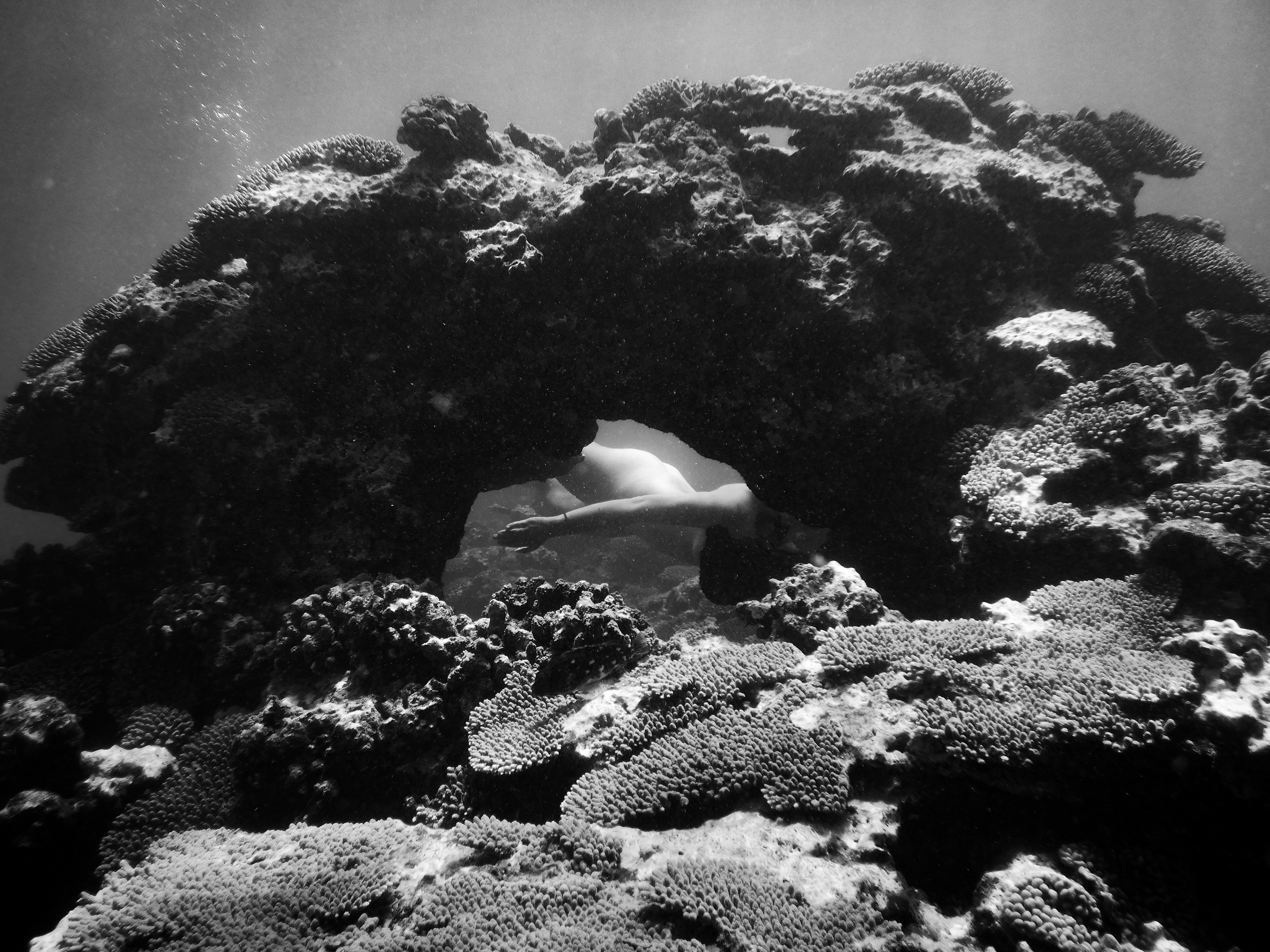 Ningaloo III
