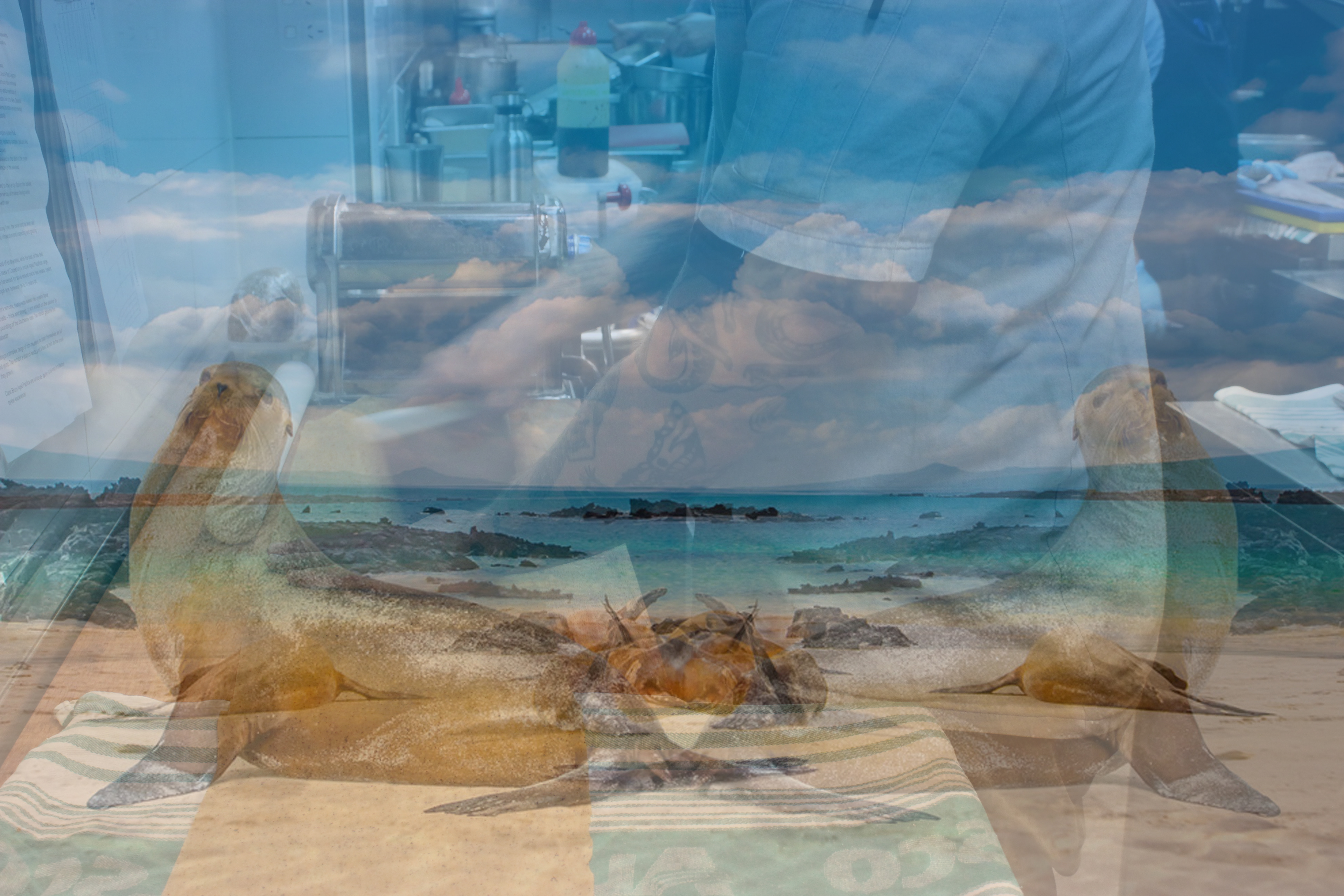 Alex- Galápagos