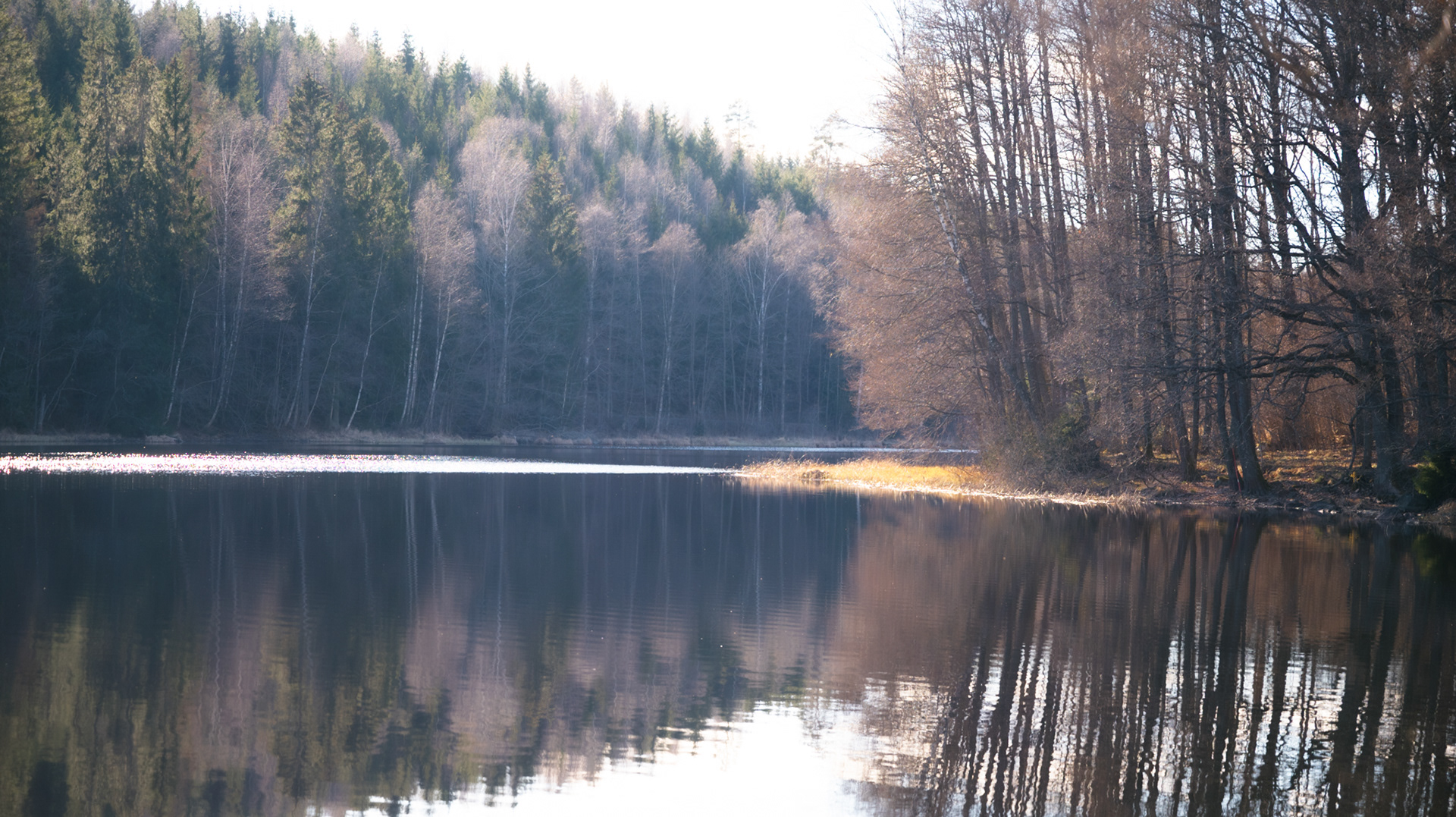 Ågelsjön in early spring