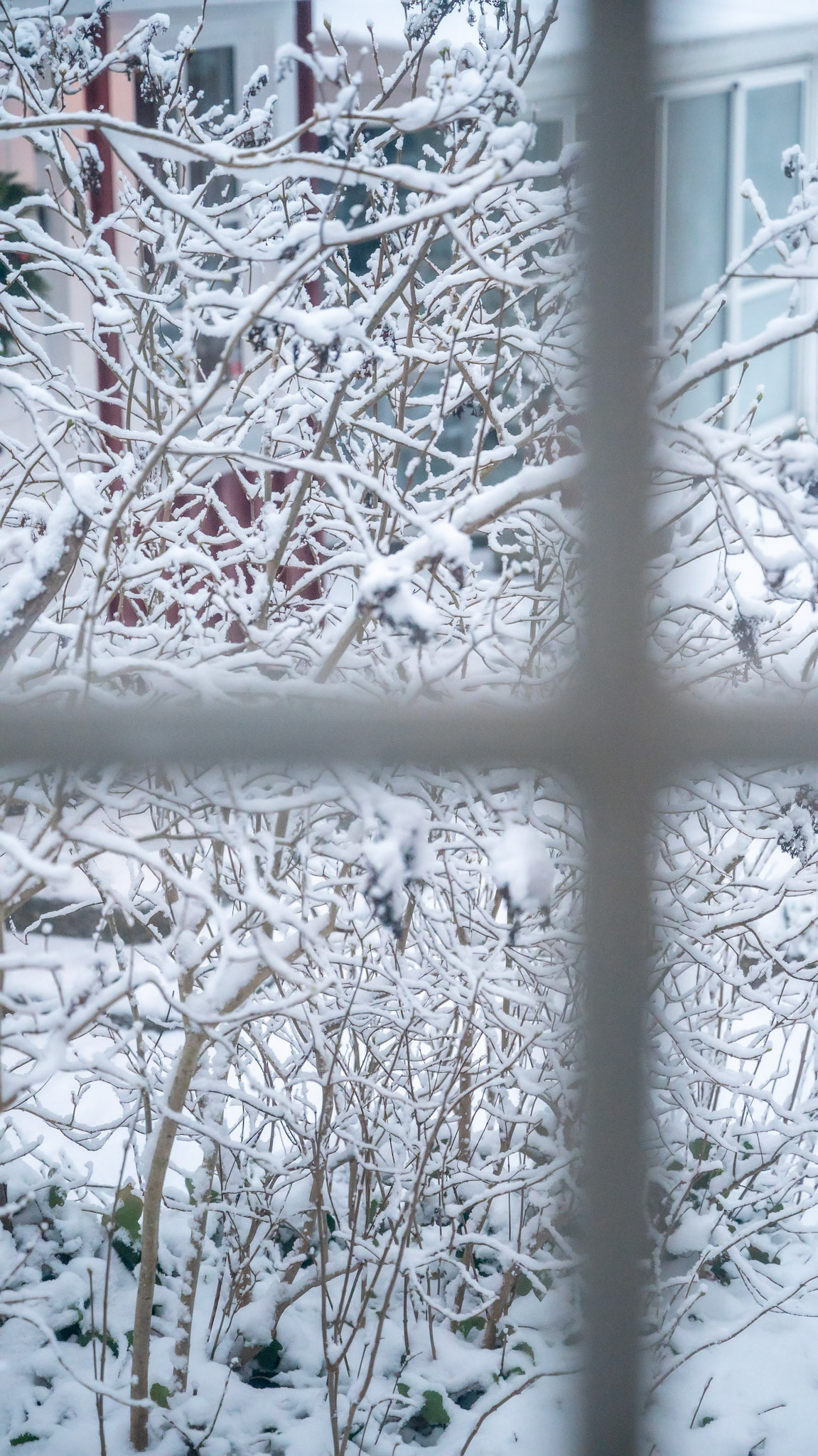 The snow fell while we were moving.